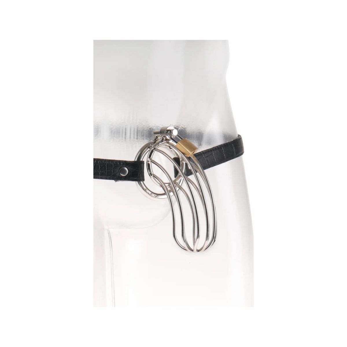 Klatka Na Penisa Fetish Fantasy Extreme The Prisoner Pipedream