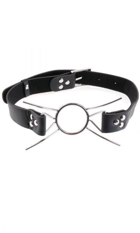 Wziernik Ustny Pająk