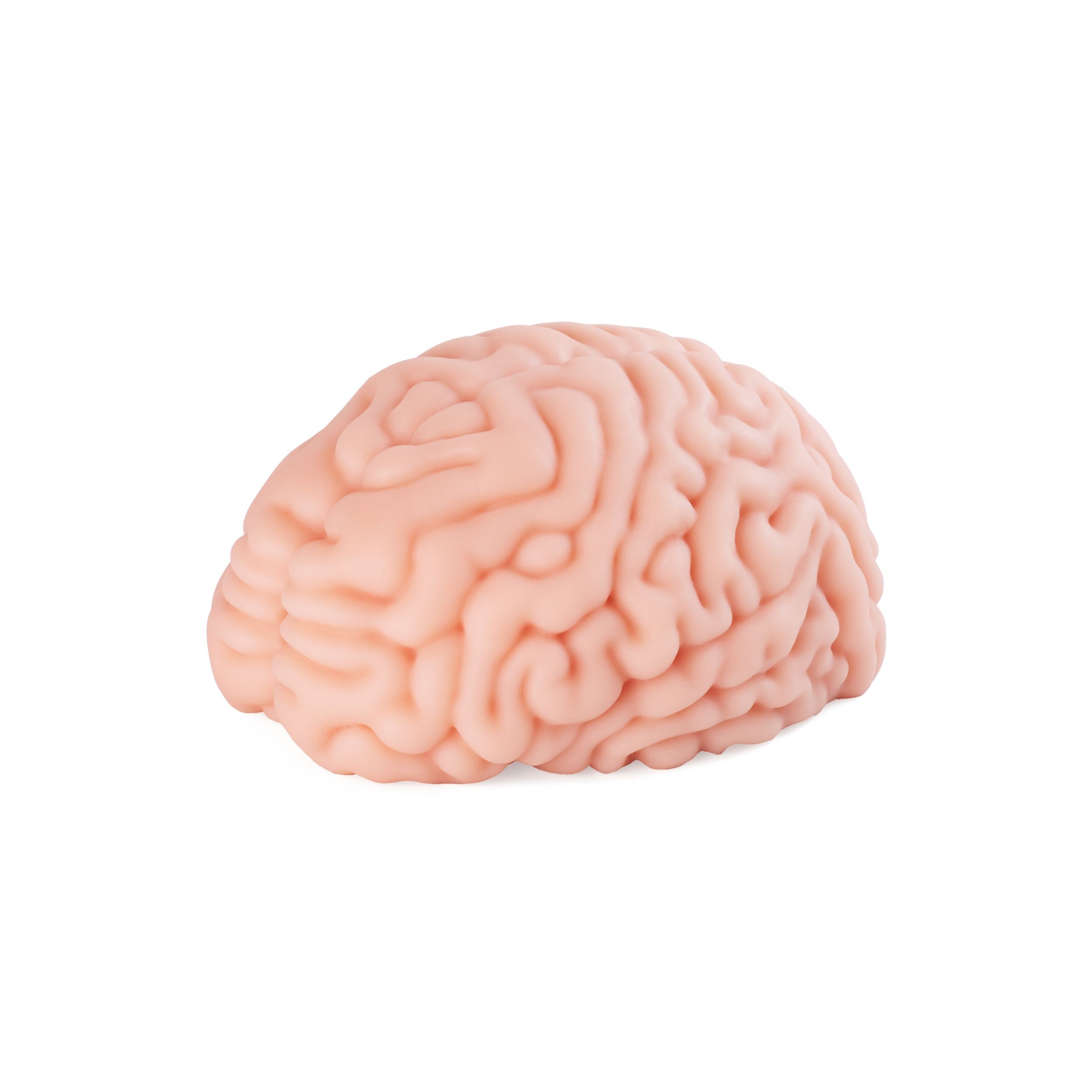 Masturbator w kształcie mózgu Motsutoys Brain Hacked DX