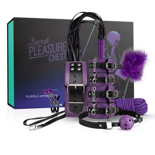Zestaw BDSM Secret Pleasure Chest Purple Apprentice
