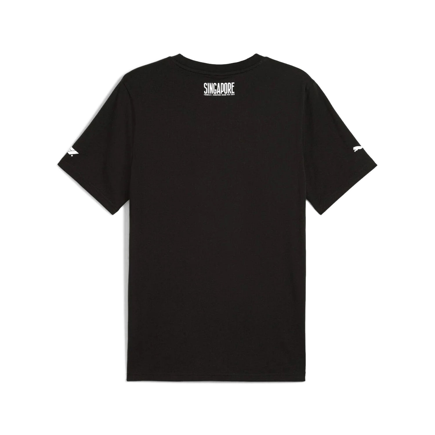 Koszulka T-shirt męska Singapore GP Formula 1 2025