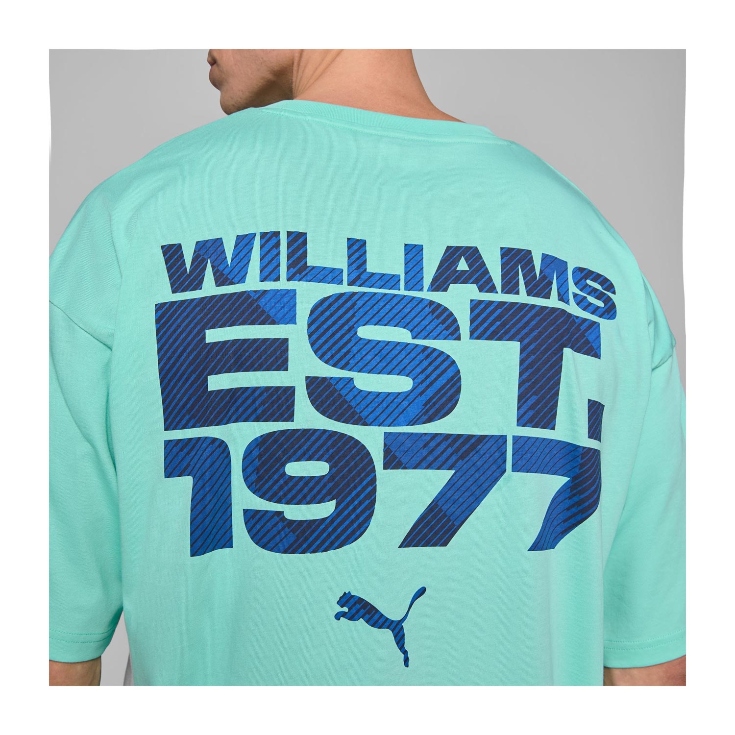 Koszulka t-shirt męska Oversized zielona Williams Racing 2025