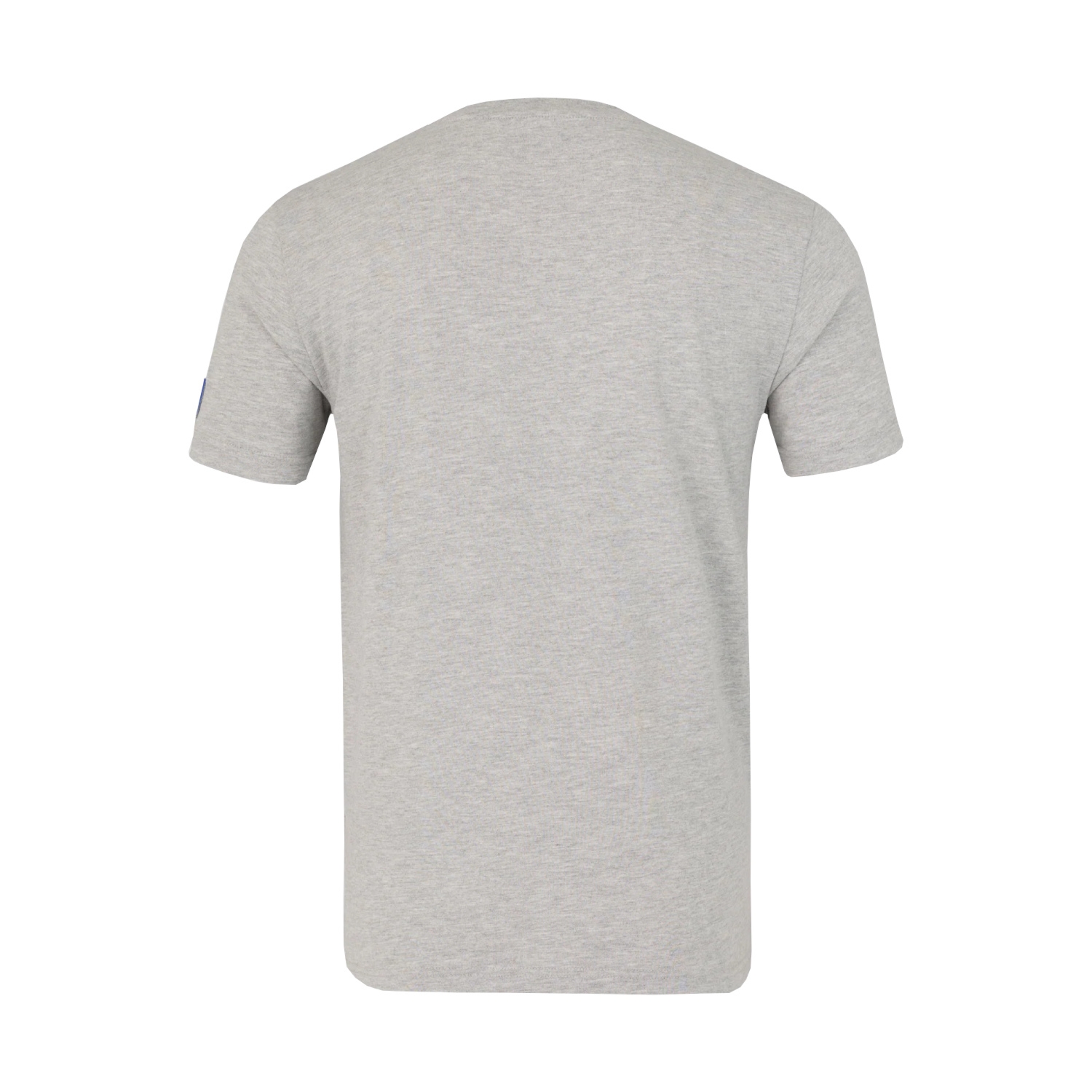 Koszulka T-shirt dziecięca Logo Regular szara Red Bull Racing 2026