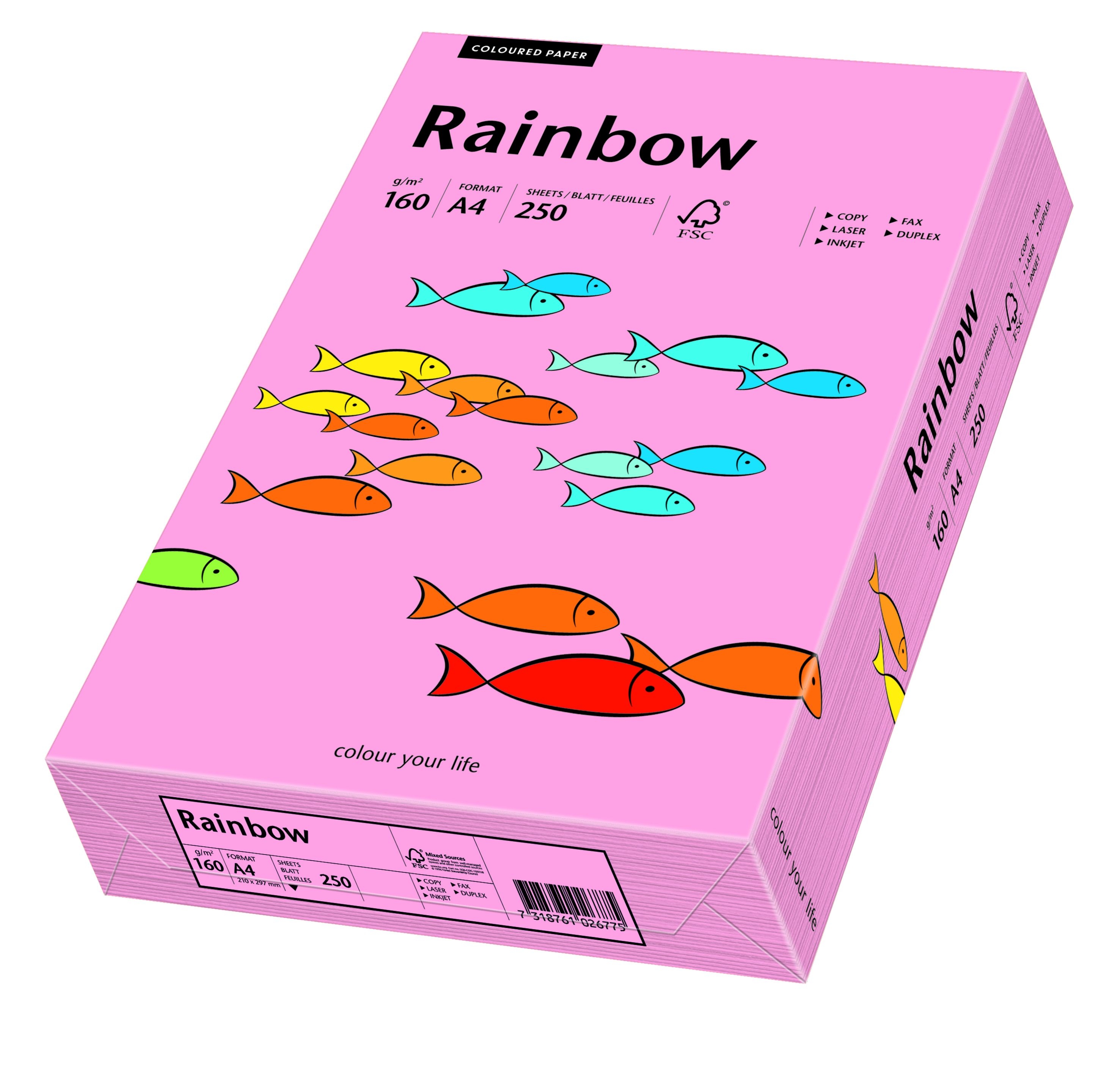 Фото - Папір Schneider Papyrus Papier kolorowy Rainbow A4 160g/250ark., nr 55 - różowy 