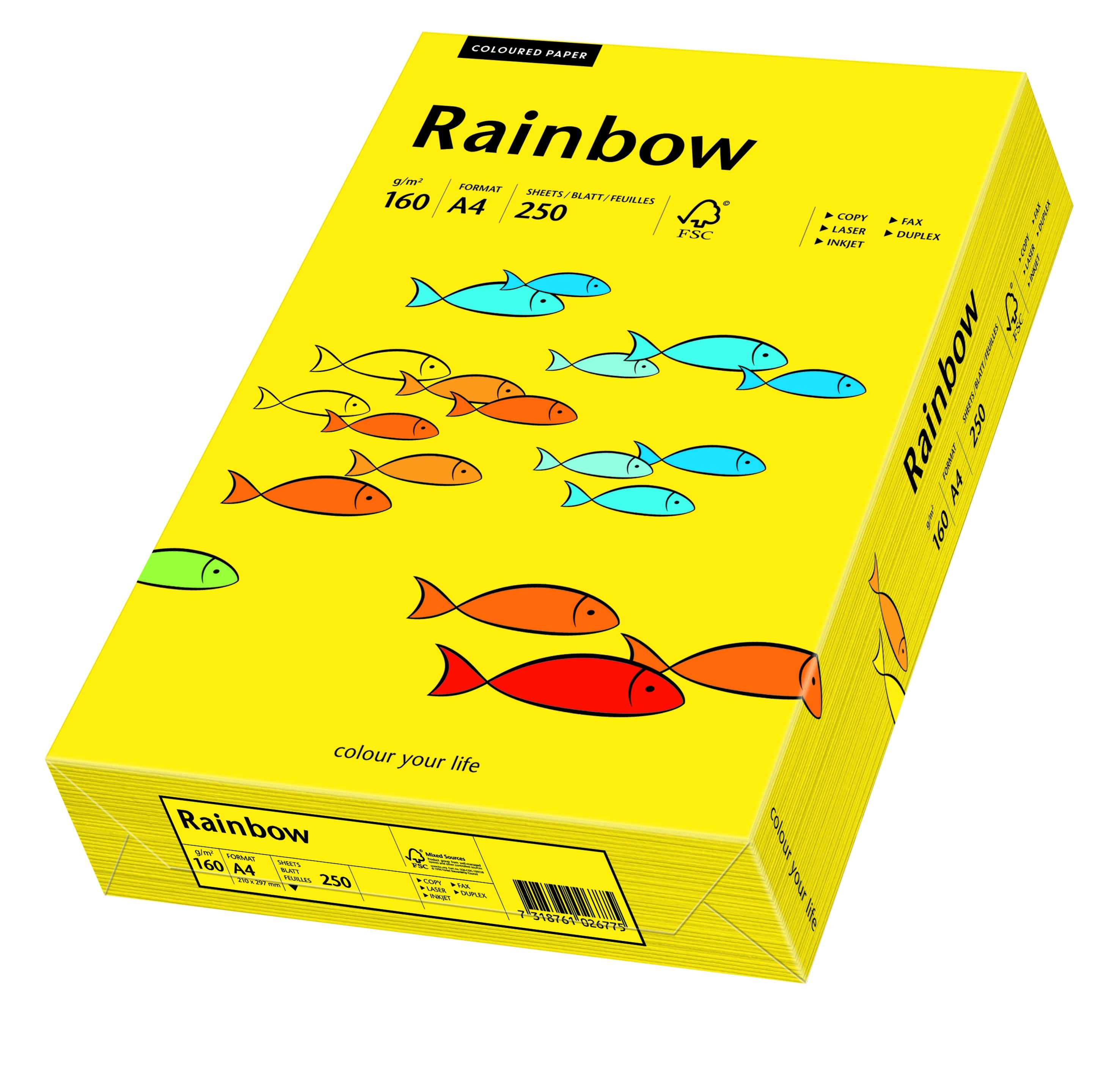 Фото - Папір Schneider Papyrus Papier kolorowy Rainbow A4 160g/250ark., nr 18 - żółty ciemny 