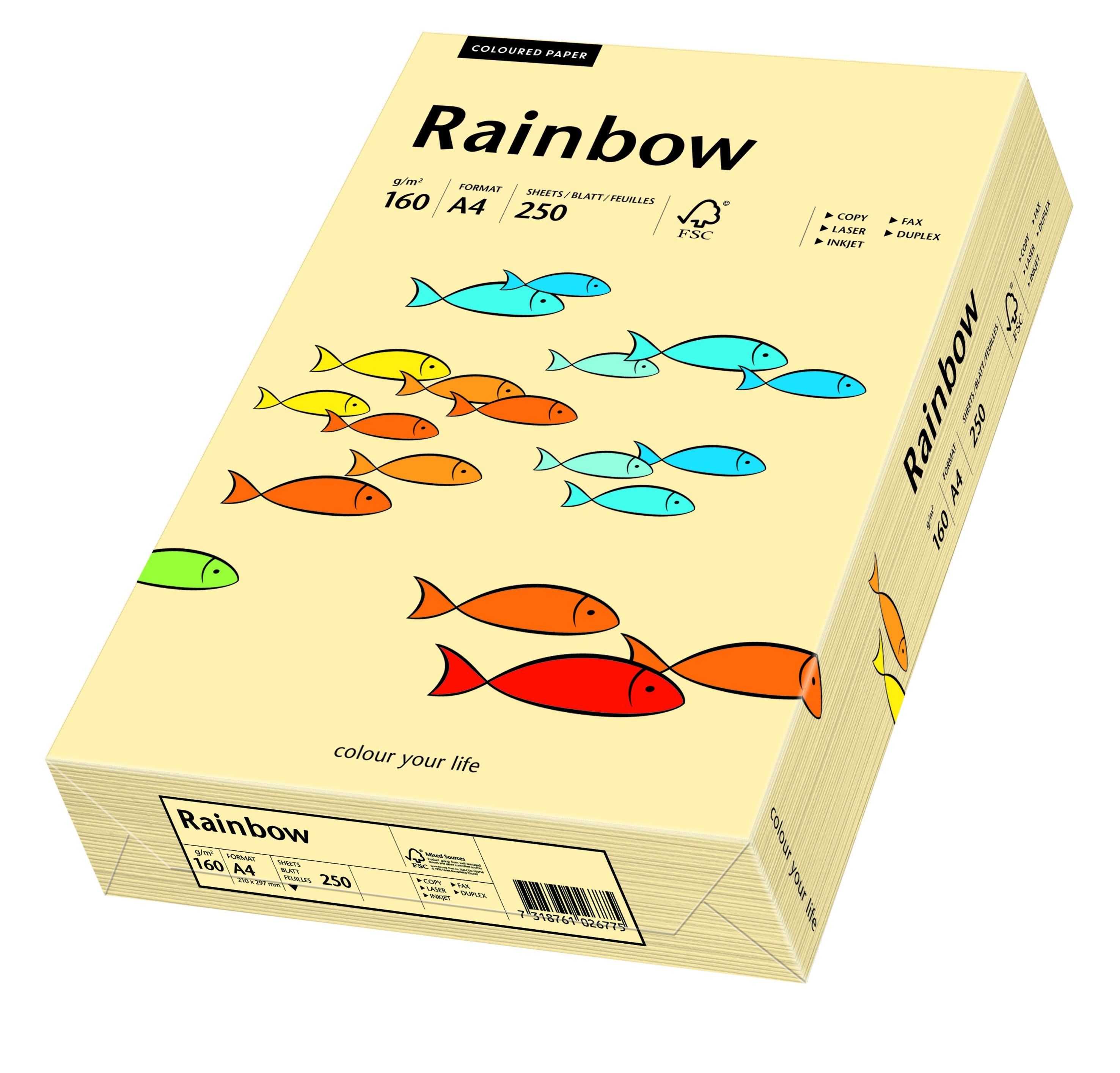 Фото - Папір Schneider Papyrus Papier kolorowy Rainbow A4 160g/250ark., nr 06 - kość słoniowa 