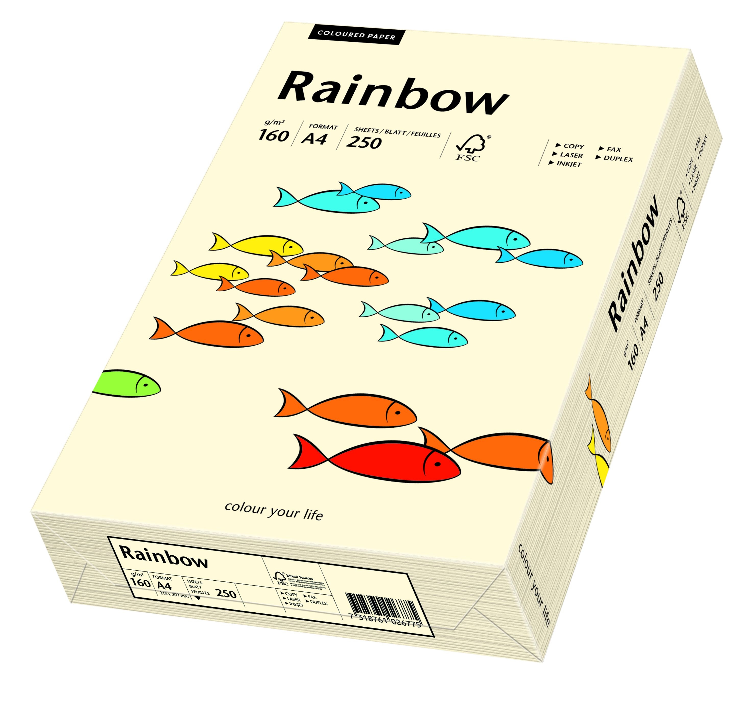 Фото - Папір Schneider Papyrus Papier kolorowy Rainbow A4 160g/250ark. nr 03 - kremowy 
