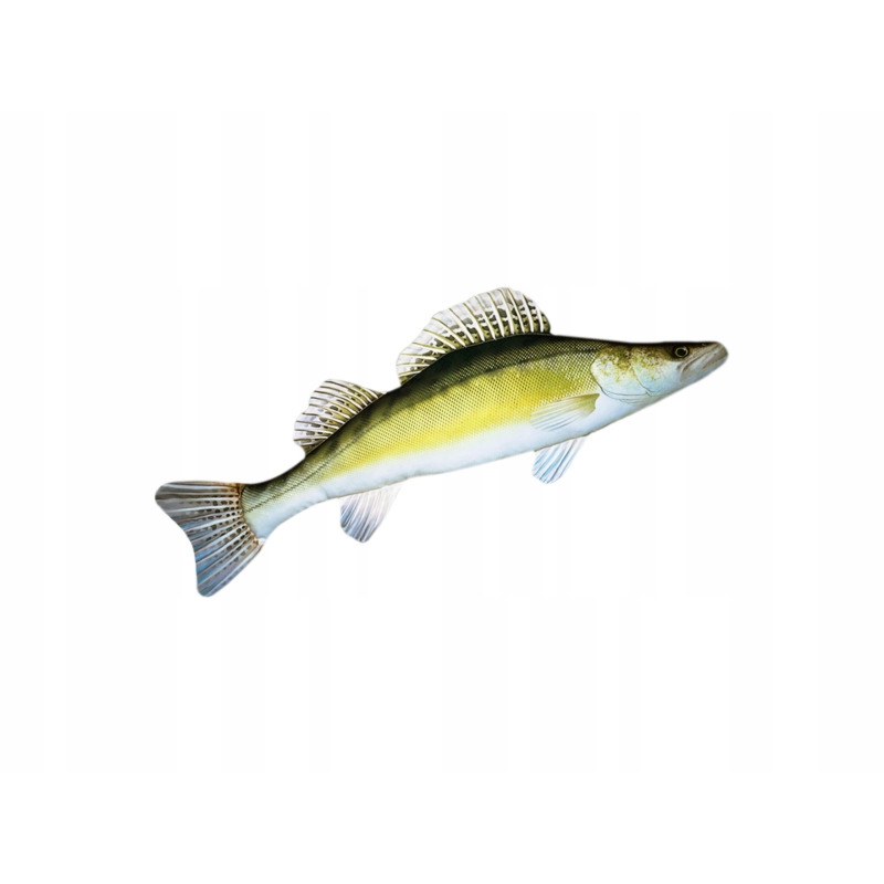 Poduszka Gaby Sandacz 50 cm