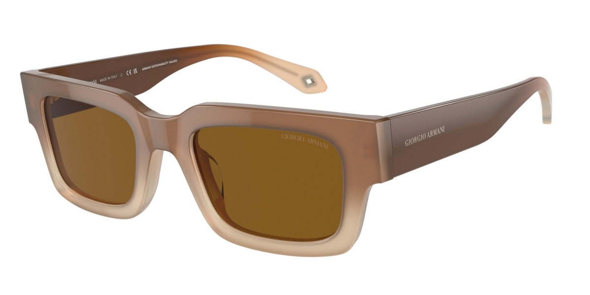 Okulary GIORGIO ARMANI AR8184U598133. Okulary przeciwsłoneczne, Kolor brązowy. Kobieta.