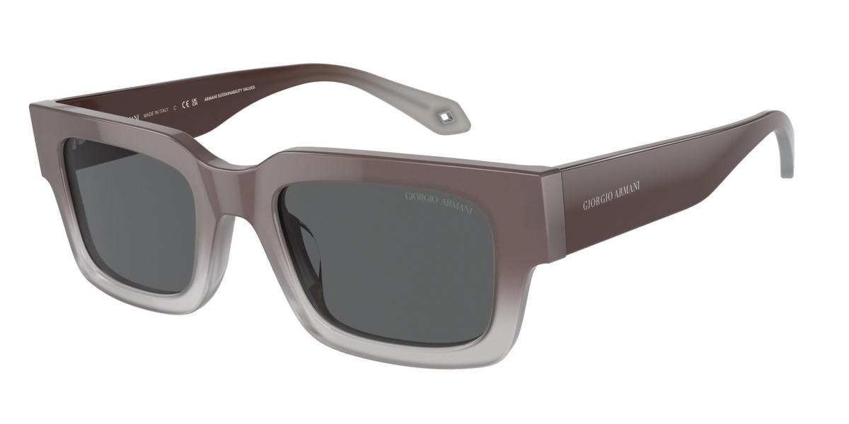 Okulary GIORGIO ARMANI AR8184U5980B1. Okulary przeciwsłoneczne, Kolor brązowy. Kobieta.