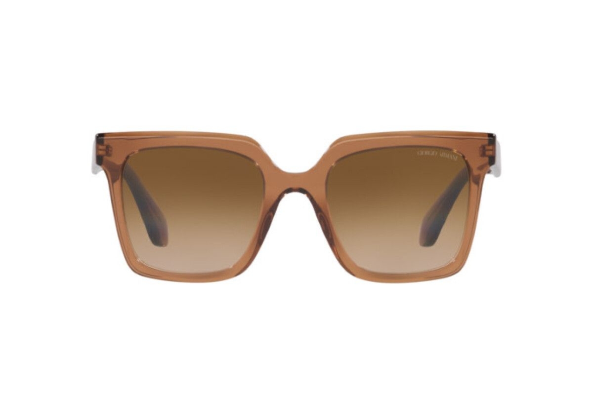 Okulary GIORGIO ARMANI AR8156-593251. Okulary przeciwsłoneczne, Kolor brązowy. Kobieta.