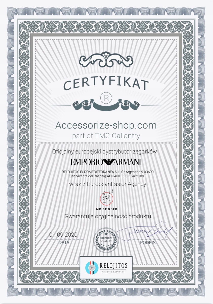 Zegarek ARMANI AR5941. Kwarcowy, Kolor biały. Kobieta.