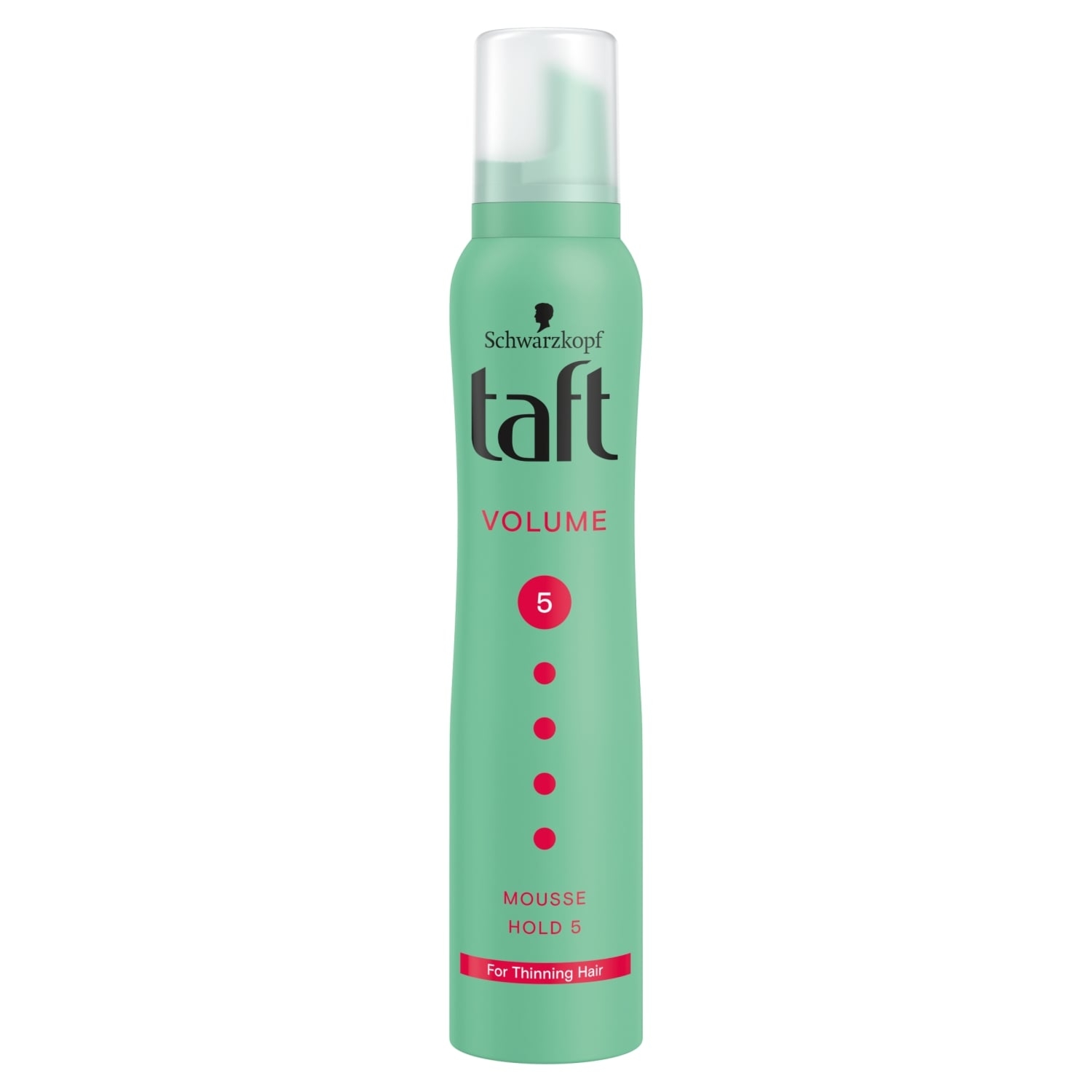Taft Volume 5 Pianka do włosów 200 ml