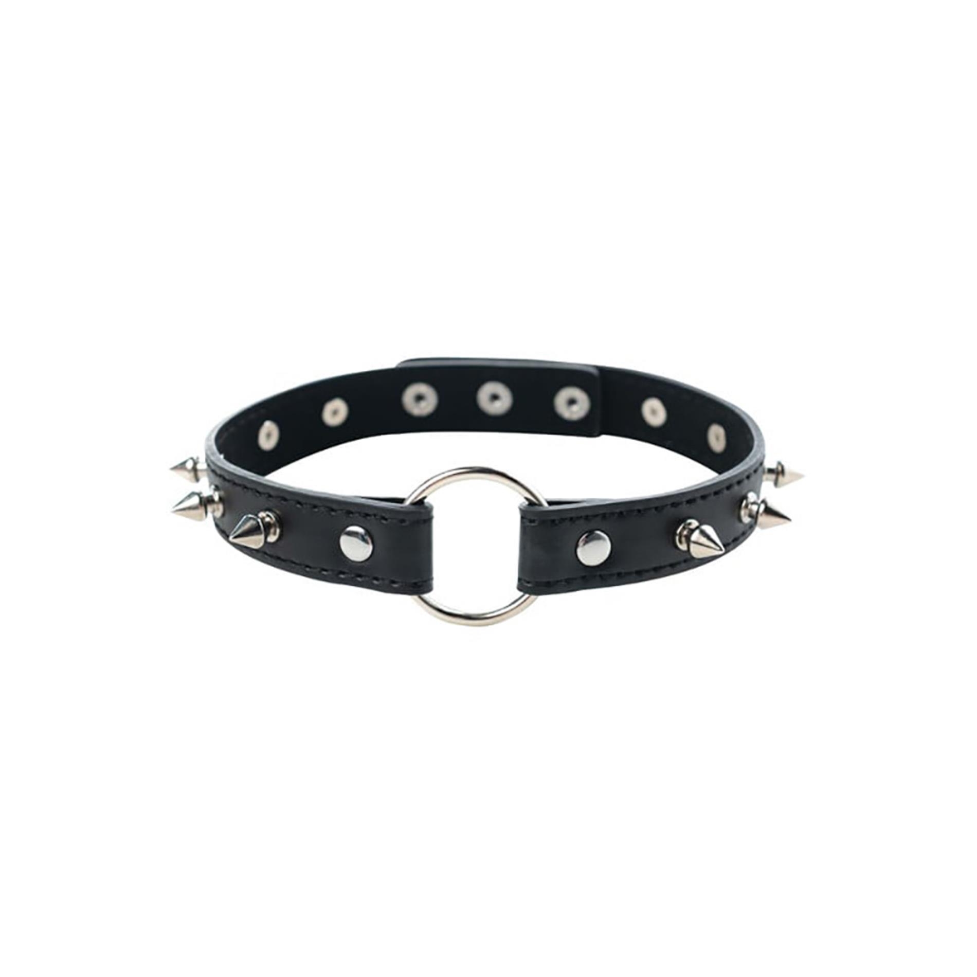 Adjustable collar with spikes