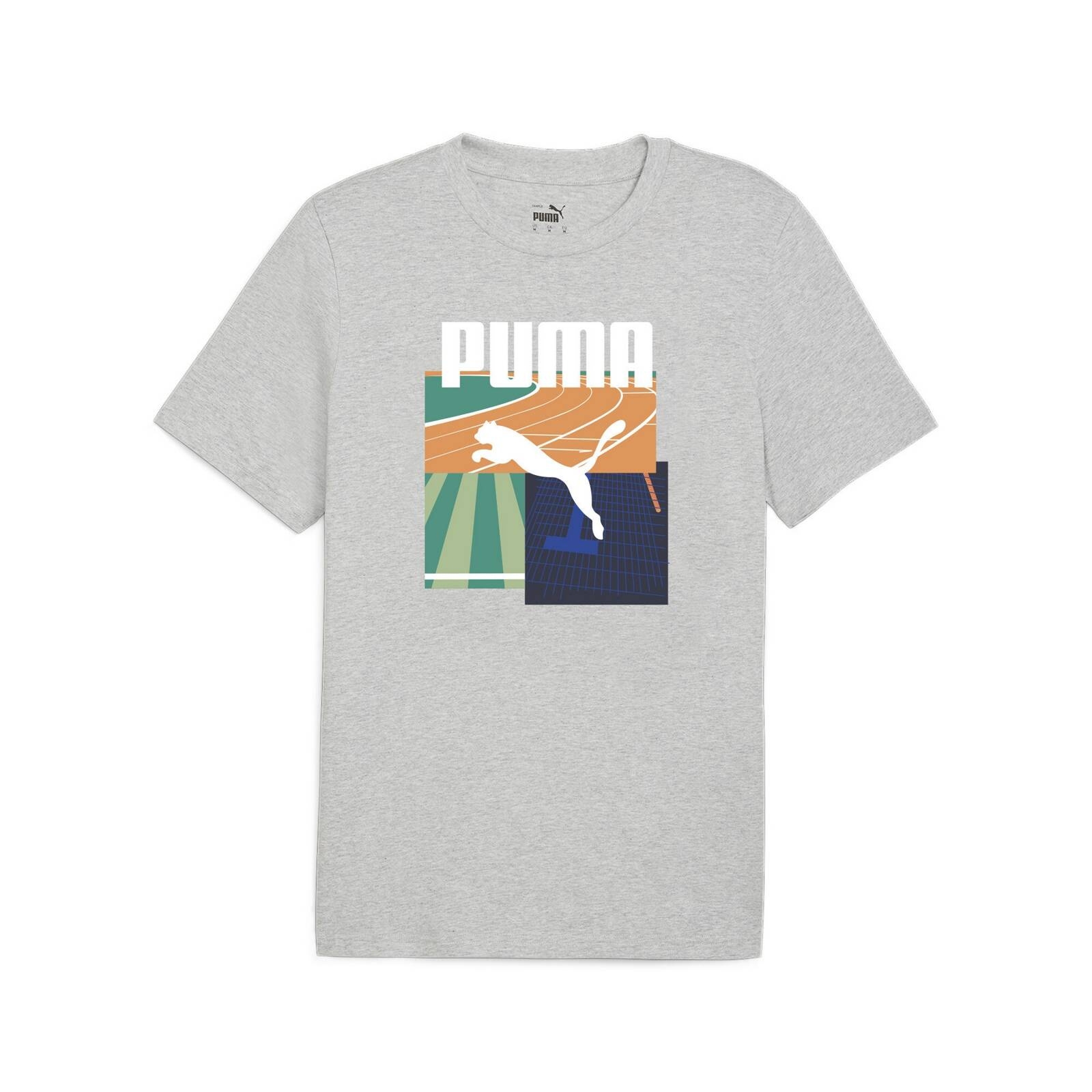 Koszulka mska Puma GRAPHICS SUMMER SPORTS II szara 62790904