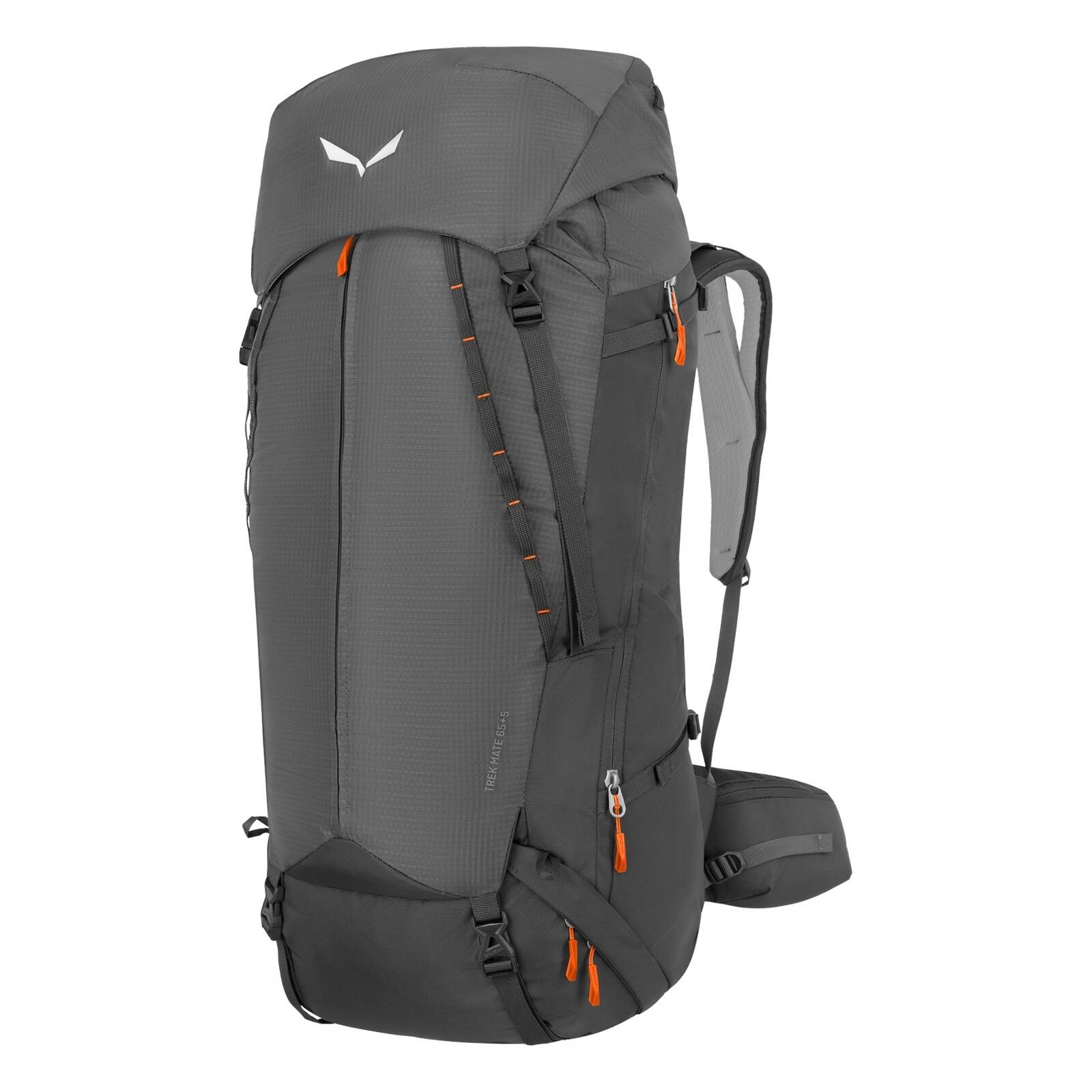 Plecak trekkingowy mski Salewa TREK MATE 65+5 L szary 00-0000001288_0530