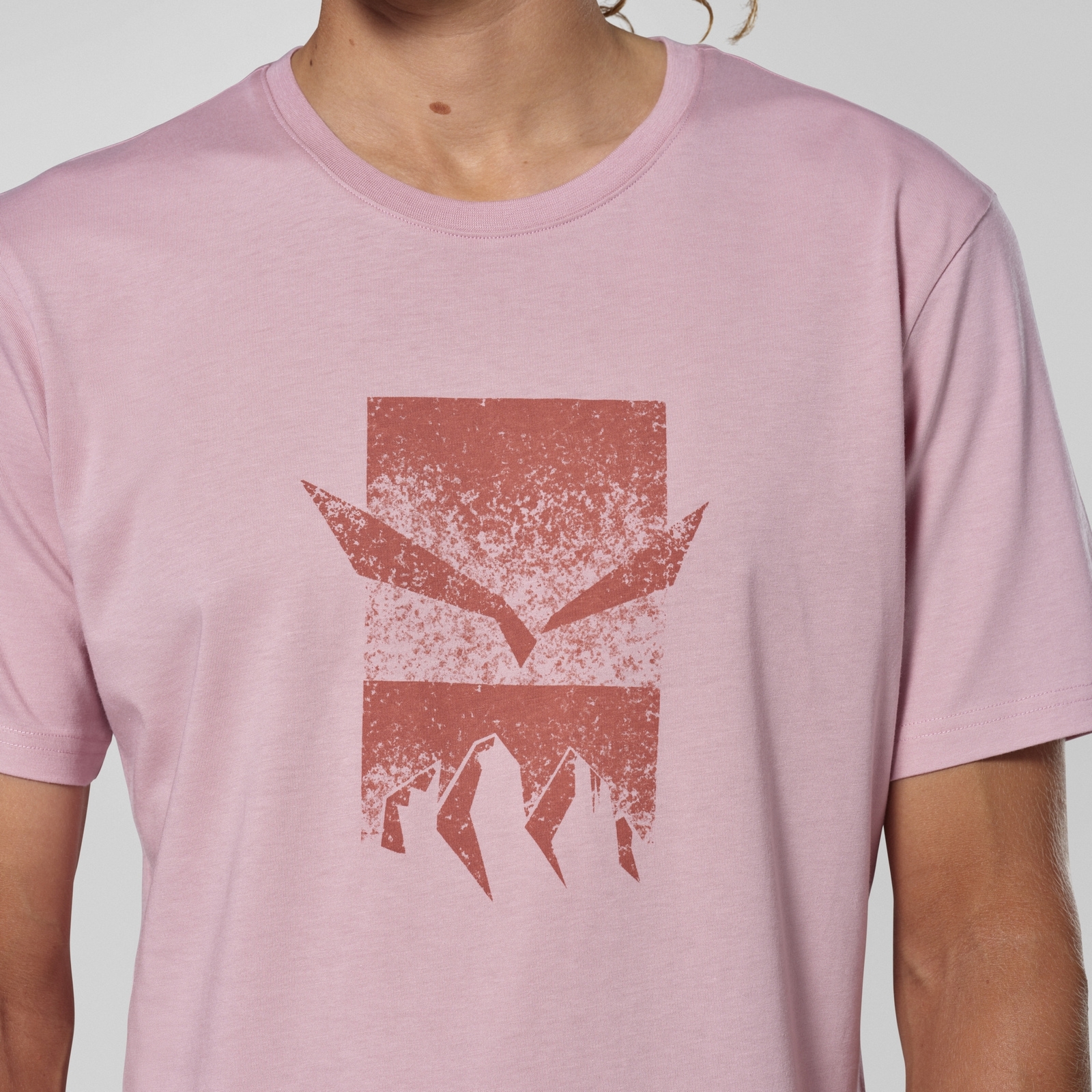 Koszulka m�ska Salewa EAGLE 3CIME r�owa 00-0000029102_6590