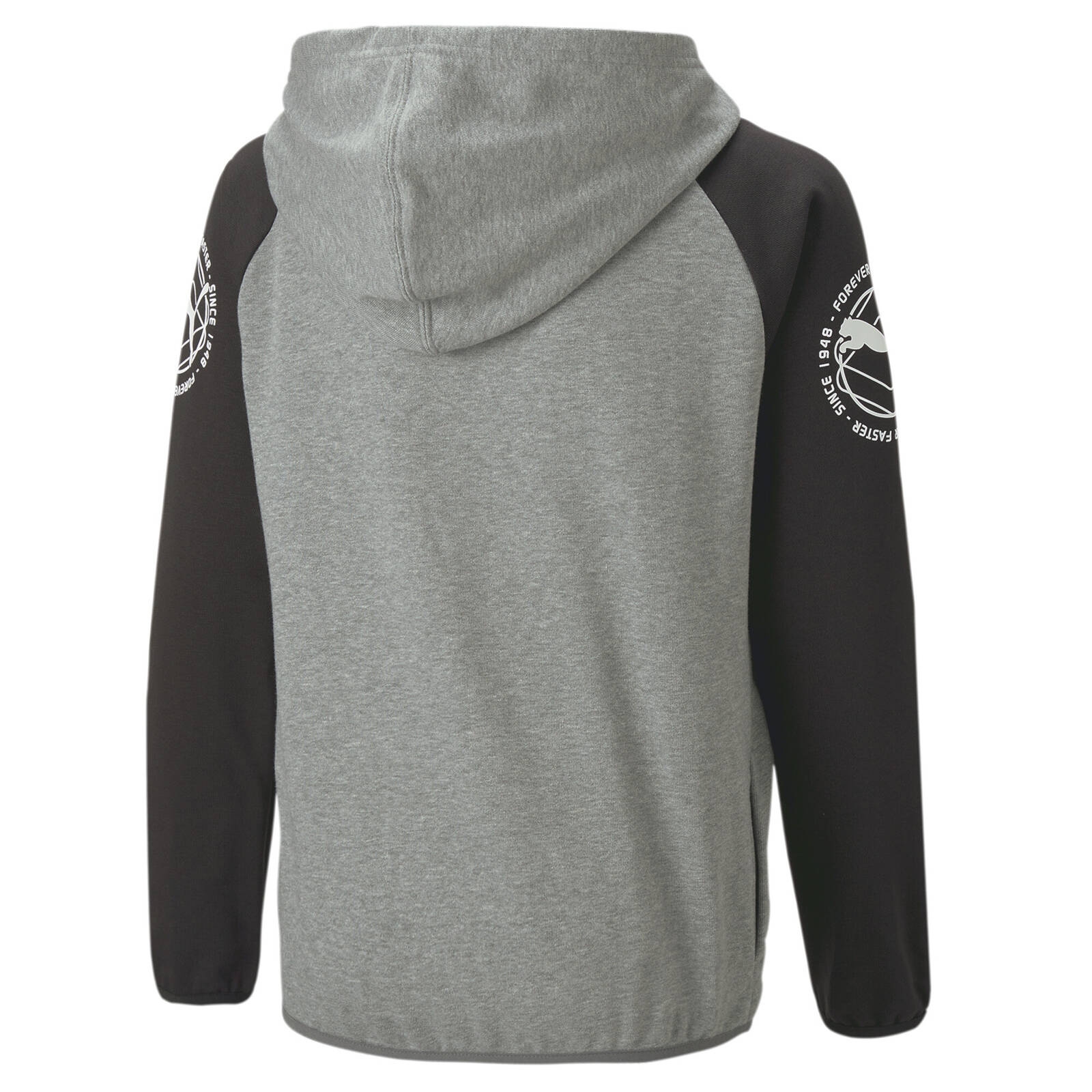 Bluza z kapturem chopica Puma ACTIVE SPORTS FZ TR szara 67320603
