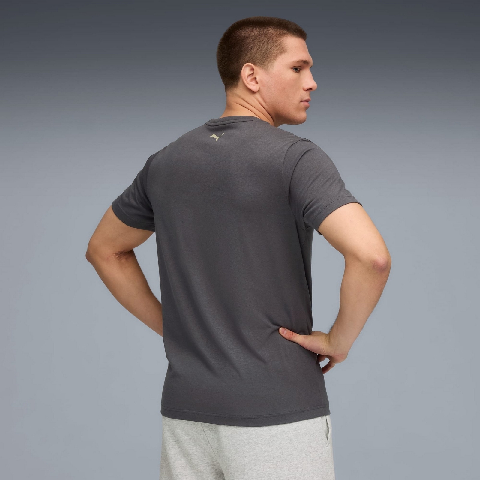 Koszulka m�ska Puma ILLUSTRATED GRAPHIC szara 52804544