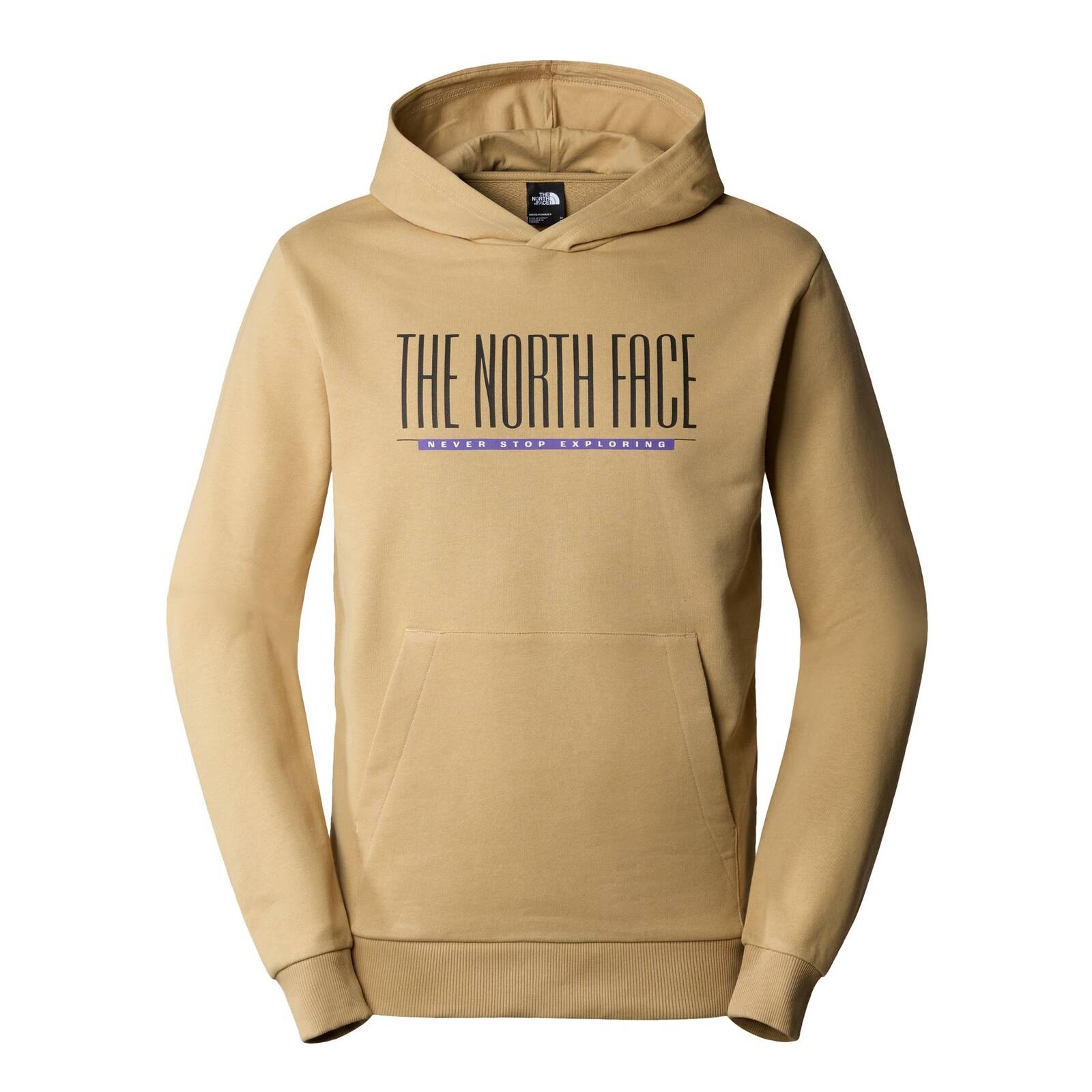 Bluza z kapturem mska The North Face EST 1966 beowa NF0A87E5LK5