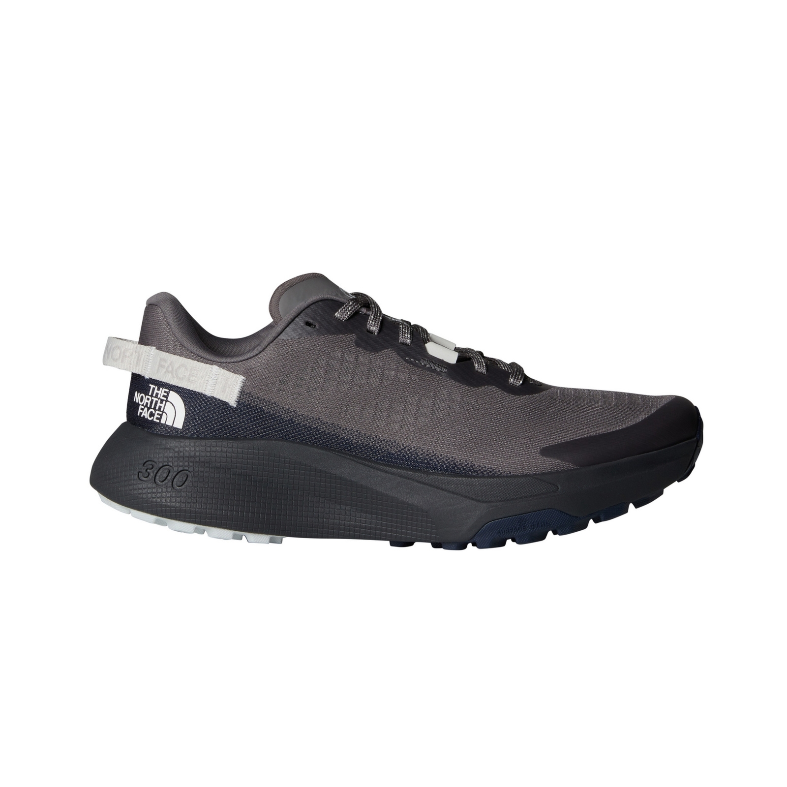 Buty trailowe m�skie The North Face ALTAMESA 300 szare NF0A8A9RF2O