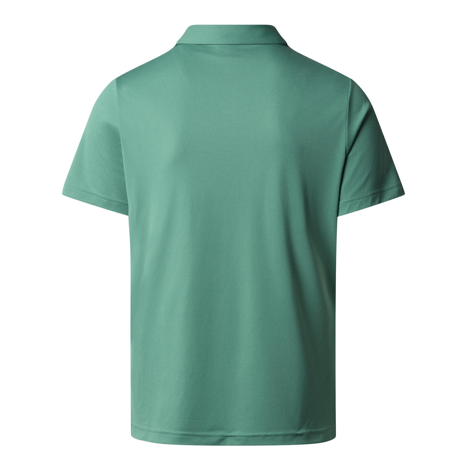 Koszulka polo męska The North Face TANKEN zielona NF0A2WAZRIW
