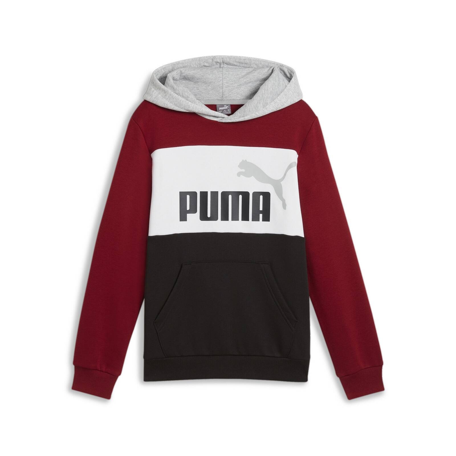 Bluza z kapturem chopica Puma ESS BLOCK FL wielokolorowa 67971713