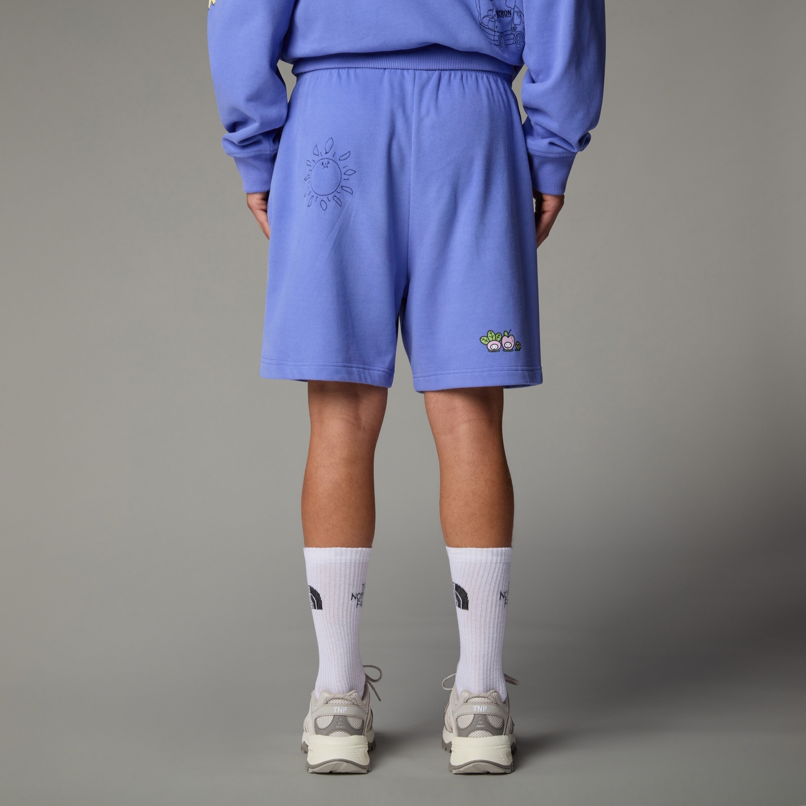 Szorty damskie The North Face MOUNTAIN CLEANUP fioletowe NF0A8C2X0YI