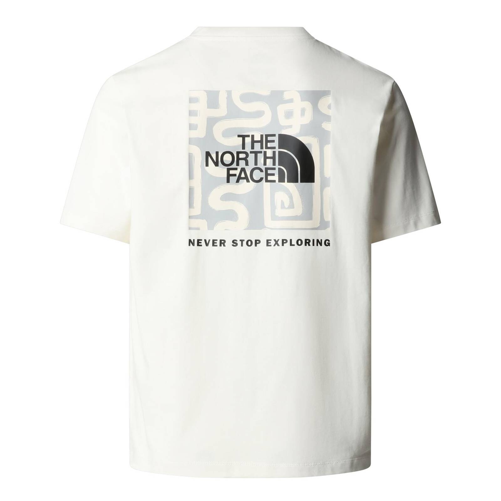 Koszulka unisex The North Face LNY beowa NF0A8CFUQLI