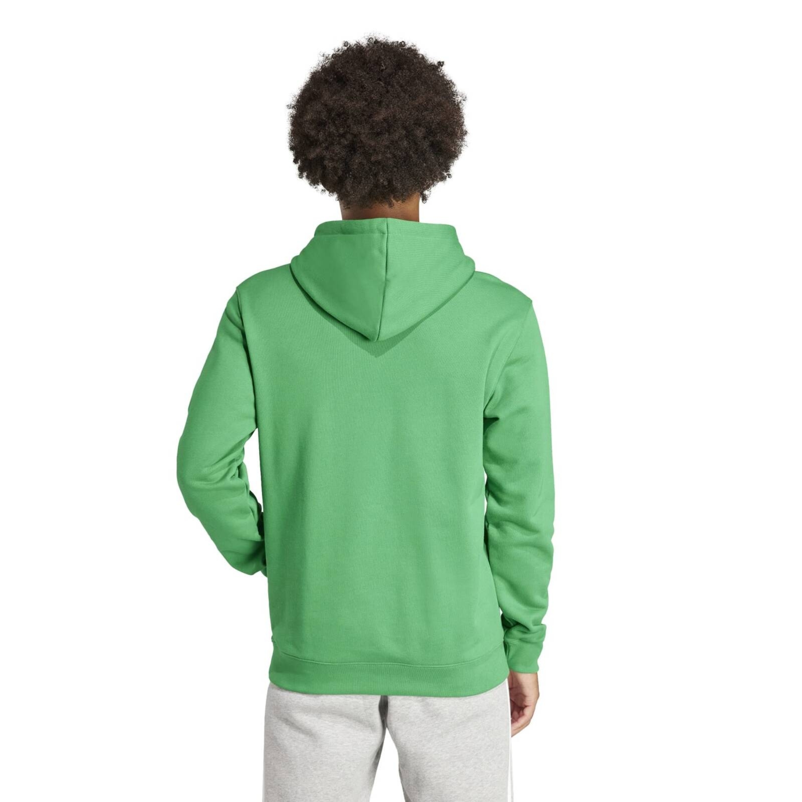 Bluza z kapturem m�ska adidas ADICOLOR CLASSICS TREFOIL zielona IM9403
