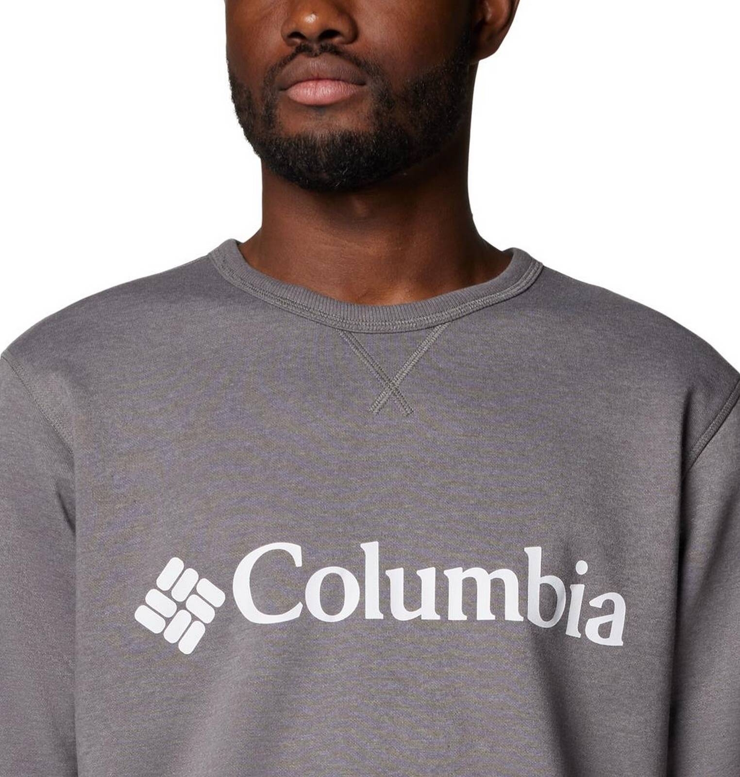 Bluza mska Columbia LOGO FLEECE szara 1884931022