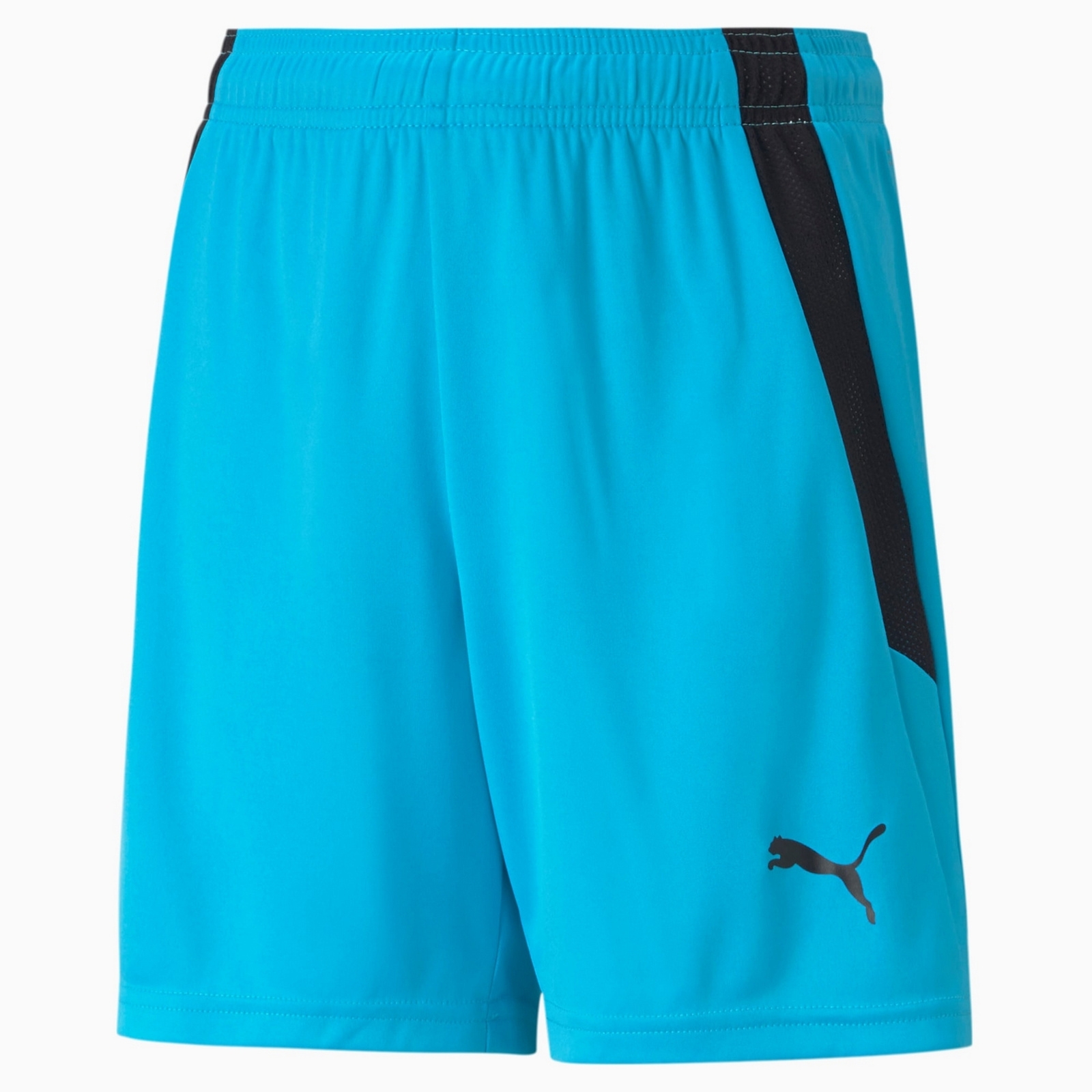 Spodenki chłopięce Puma TEAMLIGA JR niebieskie 70493140