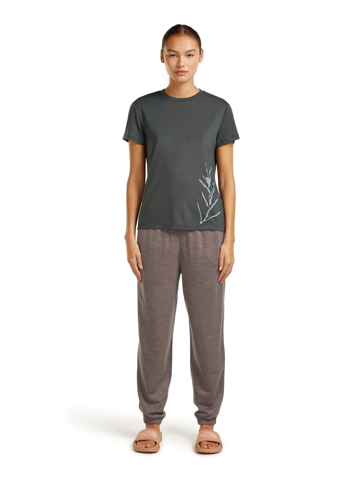 Koszulka damska Icebreaker MER CORE PANAX szara IB0A57GQ0A1