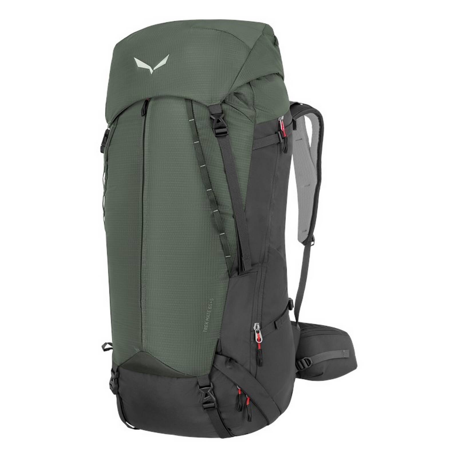 Plecak trekkingowy mski Salewa TREK MATE 65+5 L zielony 00-0000001288_3808