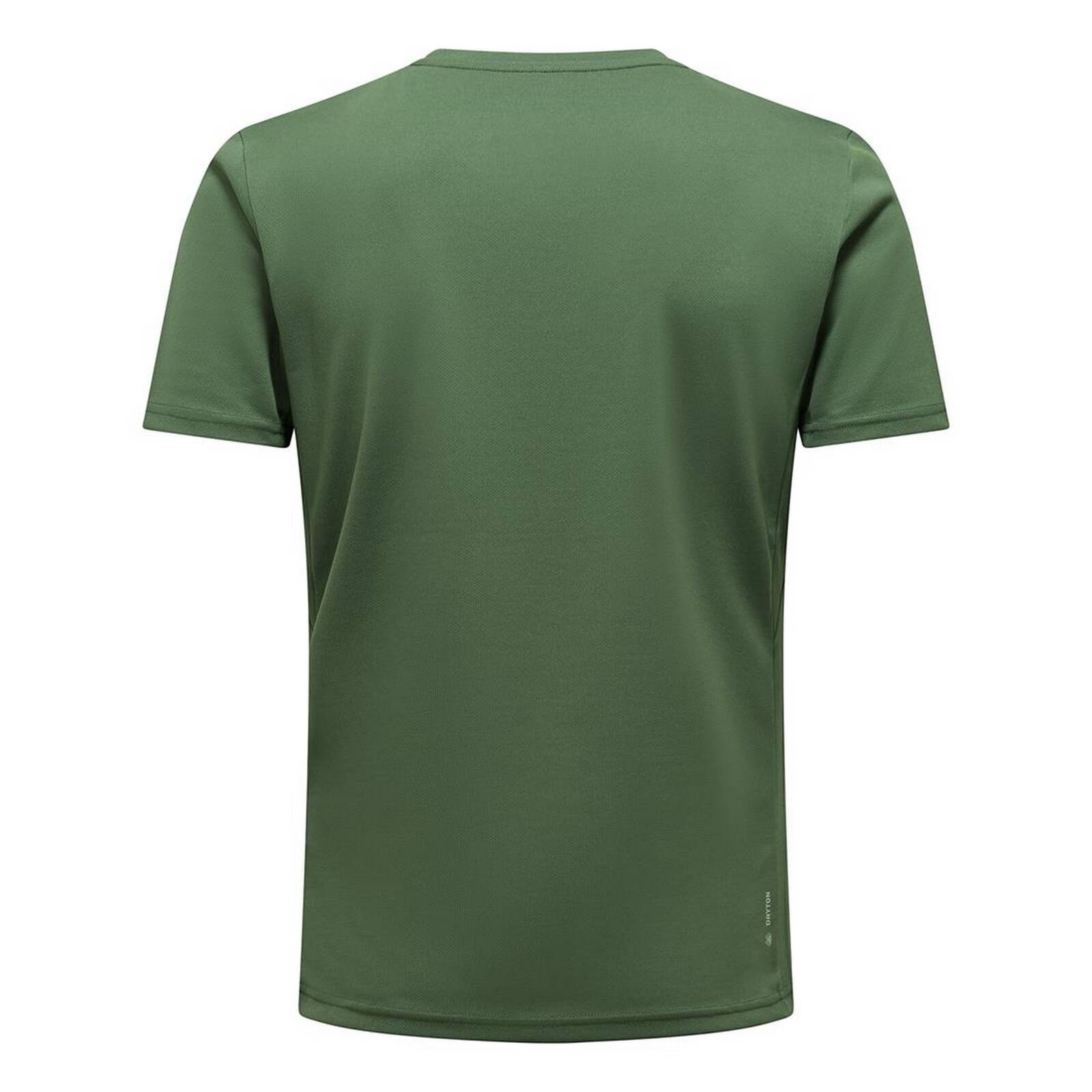 Koszulka mska Salewa SPORTY B 4 DRY zielona 00-0000027835_5940