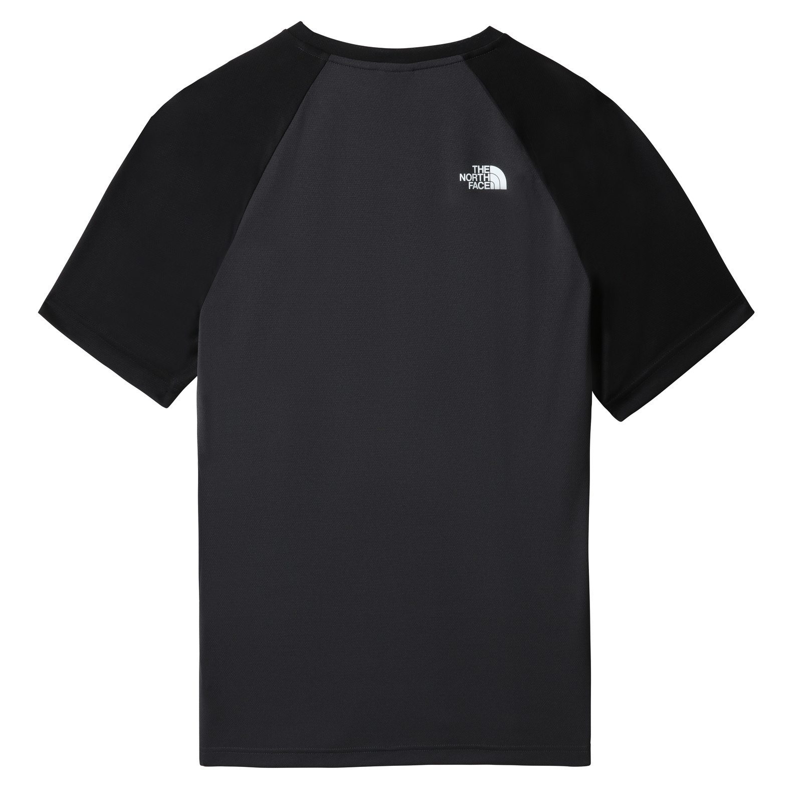 Koszulka męska The North Face TANKEN RAGLAN szara NF0A3BQ7MN8