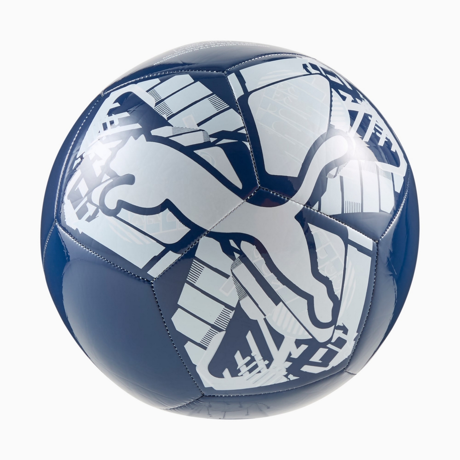 Pi�ka no�na unisex Puma BIG CAT granatowa 08493702