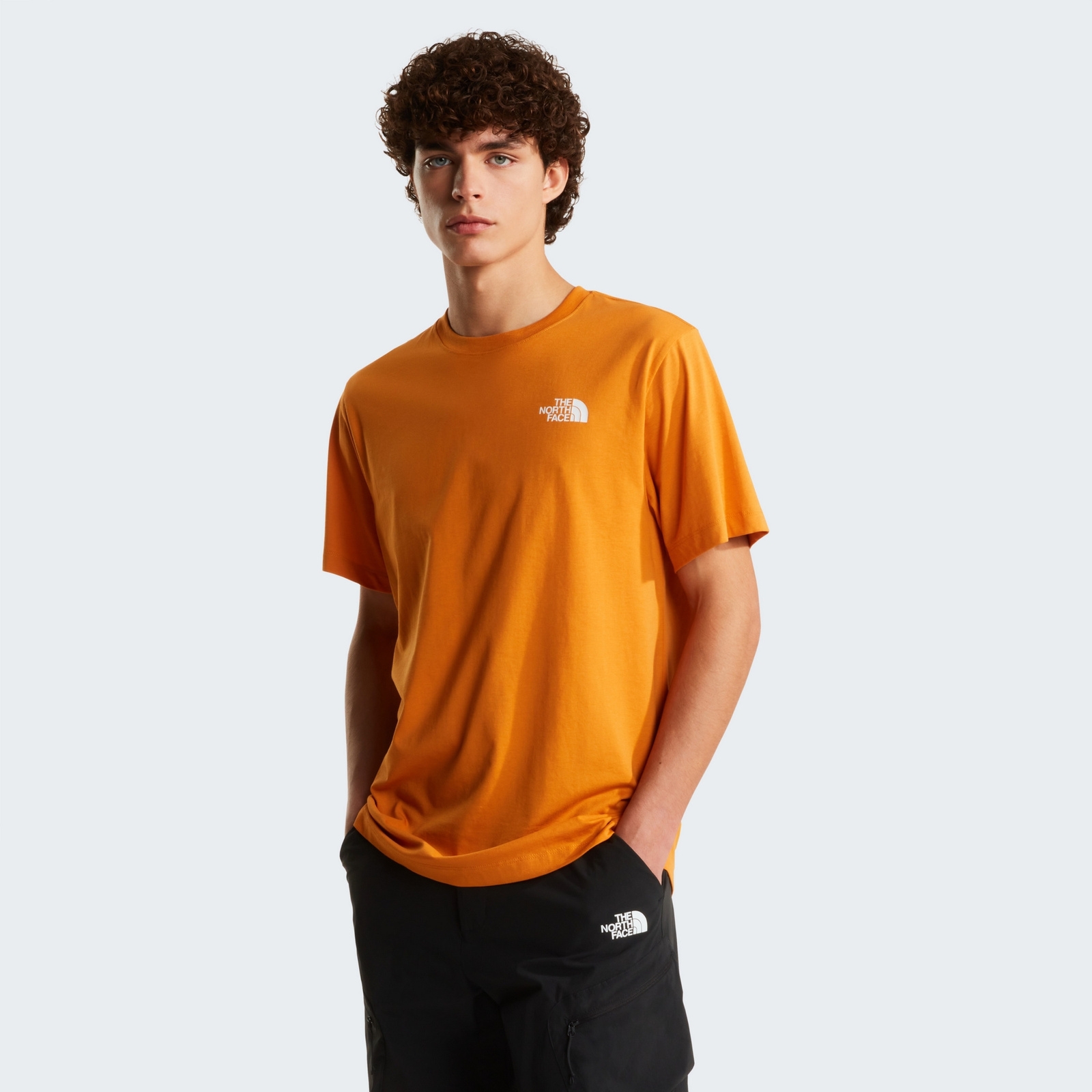 Koszulka m�ska The North Face EVOLUTION BOX NSE pomara�czowa NF0A8B6KG5I