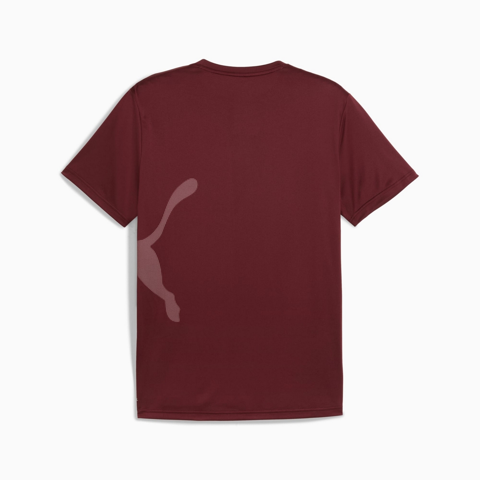 Koszulka treningowa m�ska Puma TAD BIG LOGO bordowa 52672196