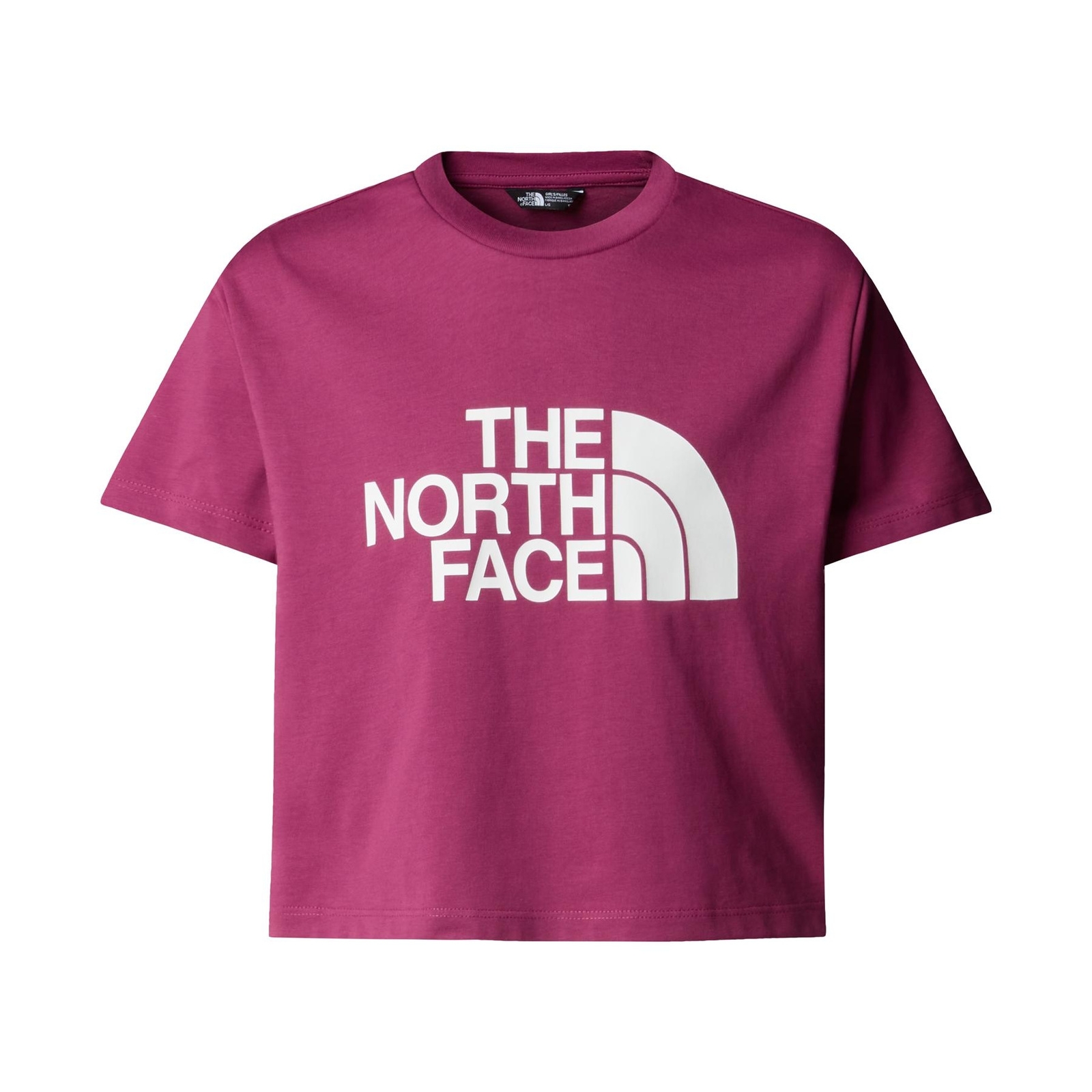 Crop top dziewczęcy The North Face EASY bordowy NF0A8DRQ6EO