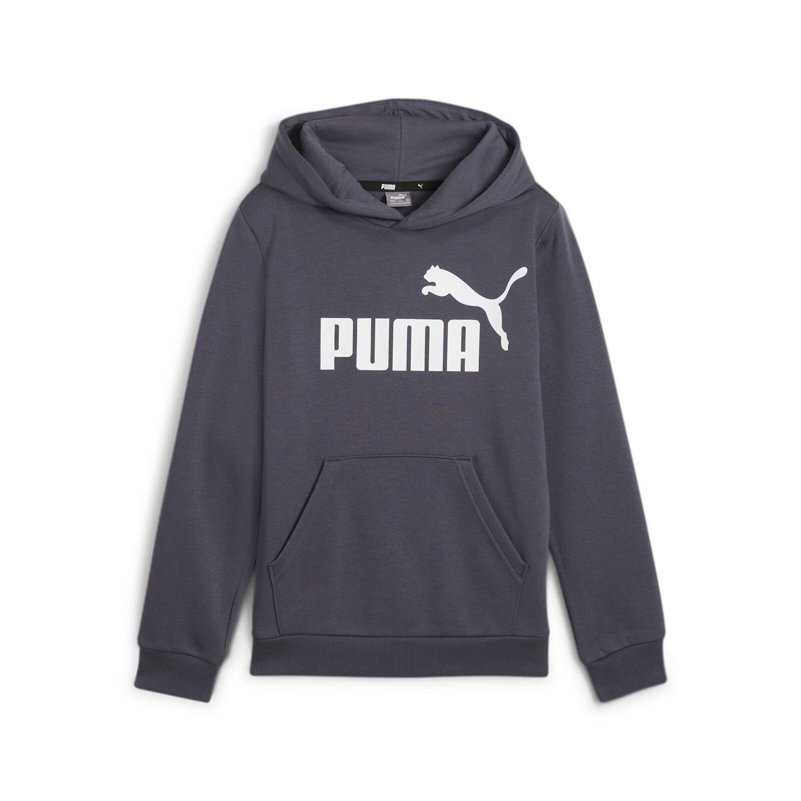 Bluza z kapturem chopica Puma ESS BIG LOGO FL szara 58696523