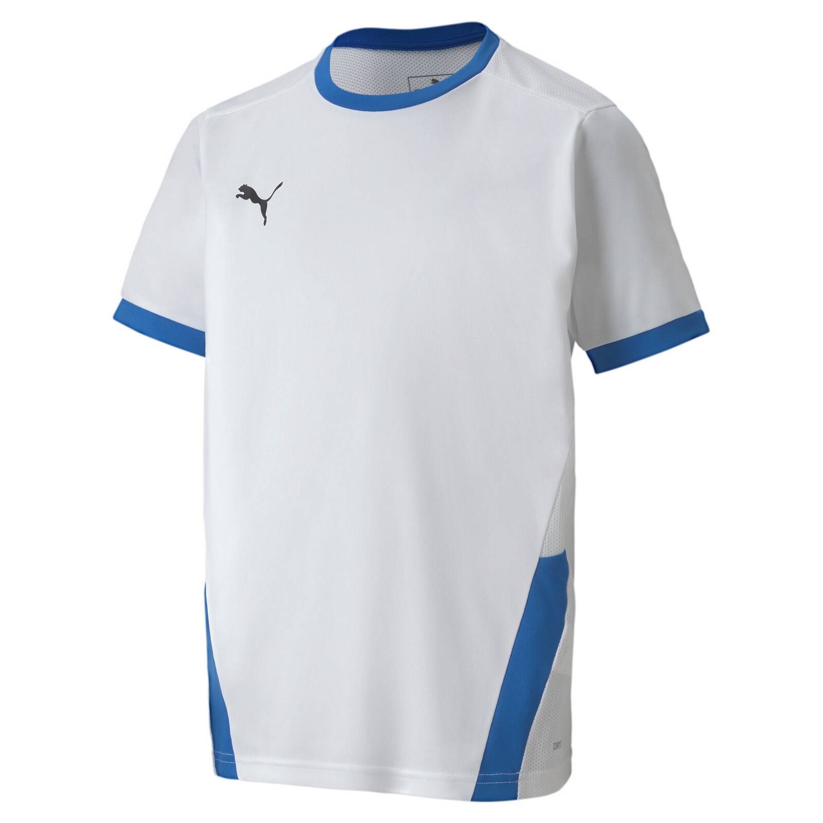 Koszulka chopica Puma TEAMGOAL 23 JERSEY biaa 70416012