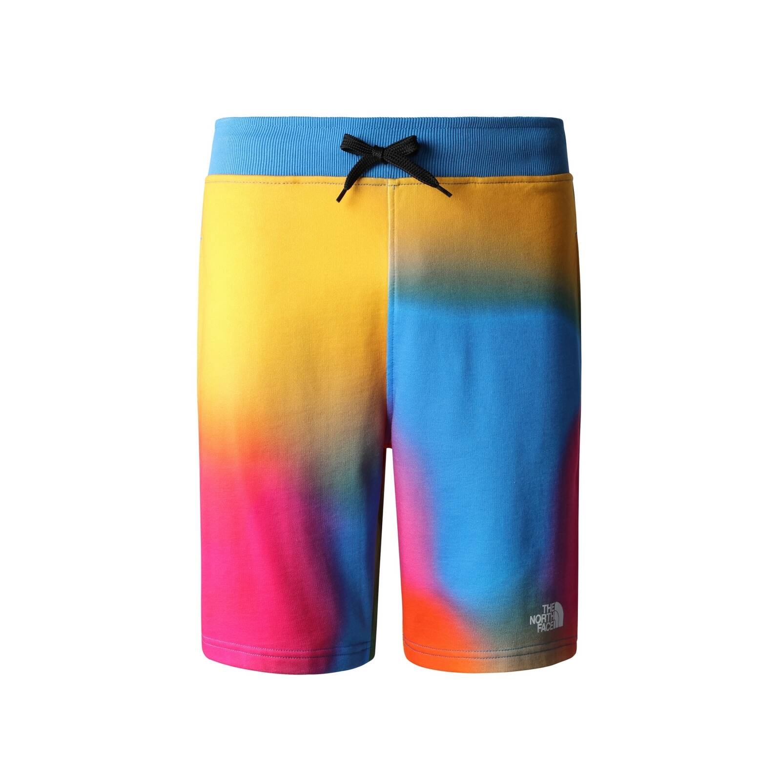 Spodenki męskie The North Face STANDARD wielokolorowe NF0A3S4EIAX