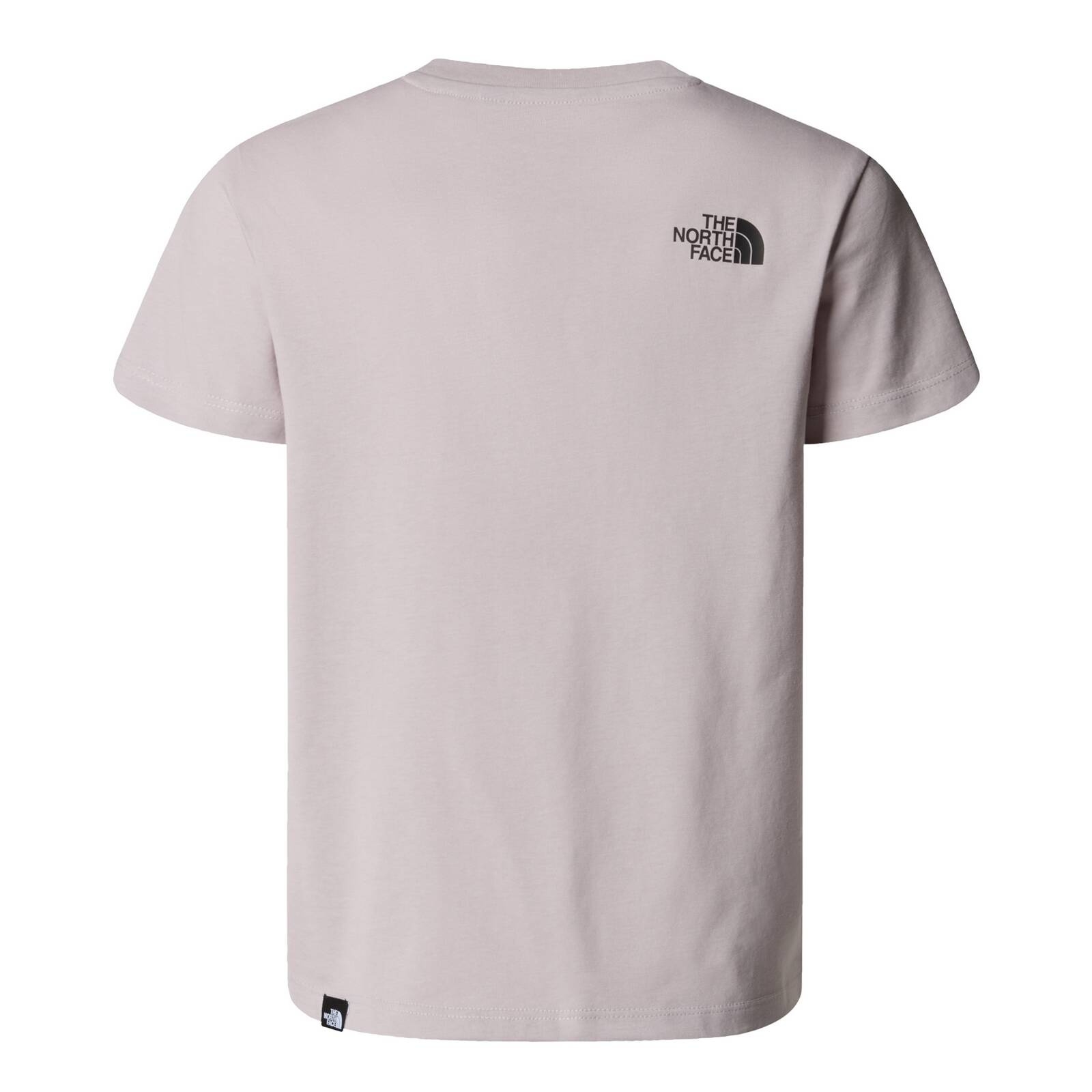 Koszulka dziecięca The North Face SIMPLE DOME szara NF0A8DRP1OA