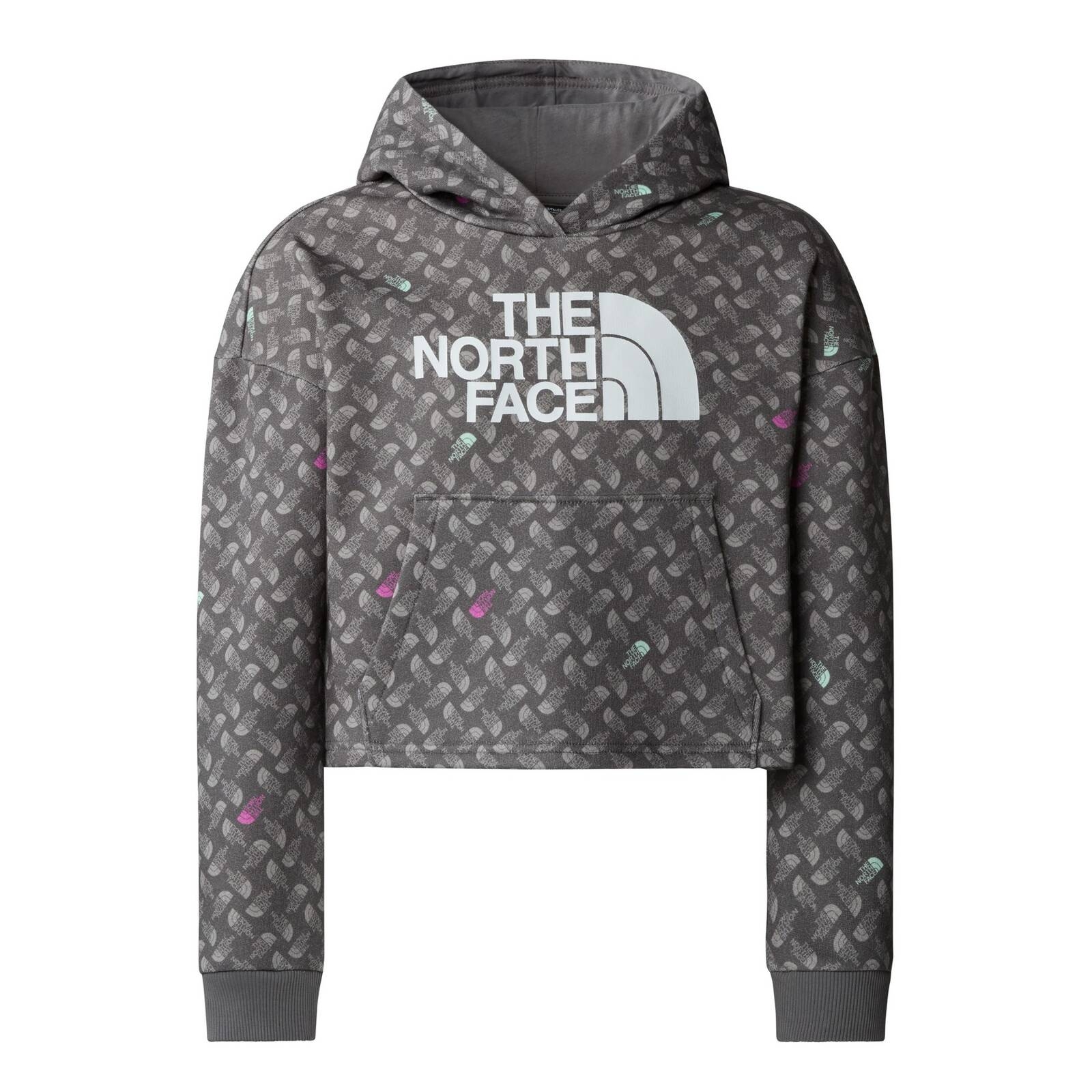 Bluza z kapturem dziewczca The North Face DREW PEAK LIGHT szara NF0A8872VIJ