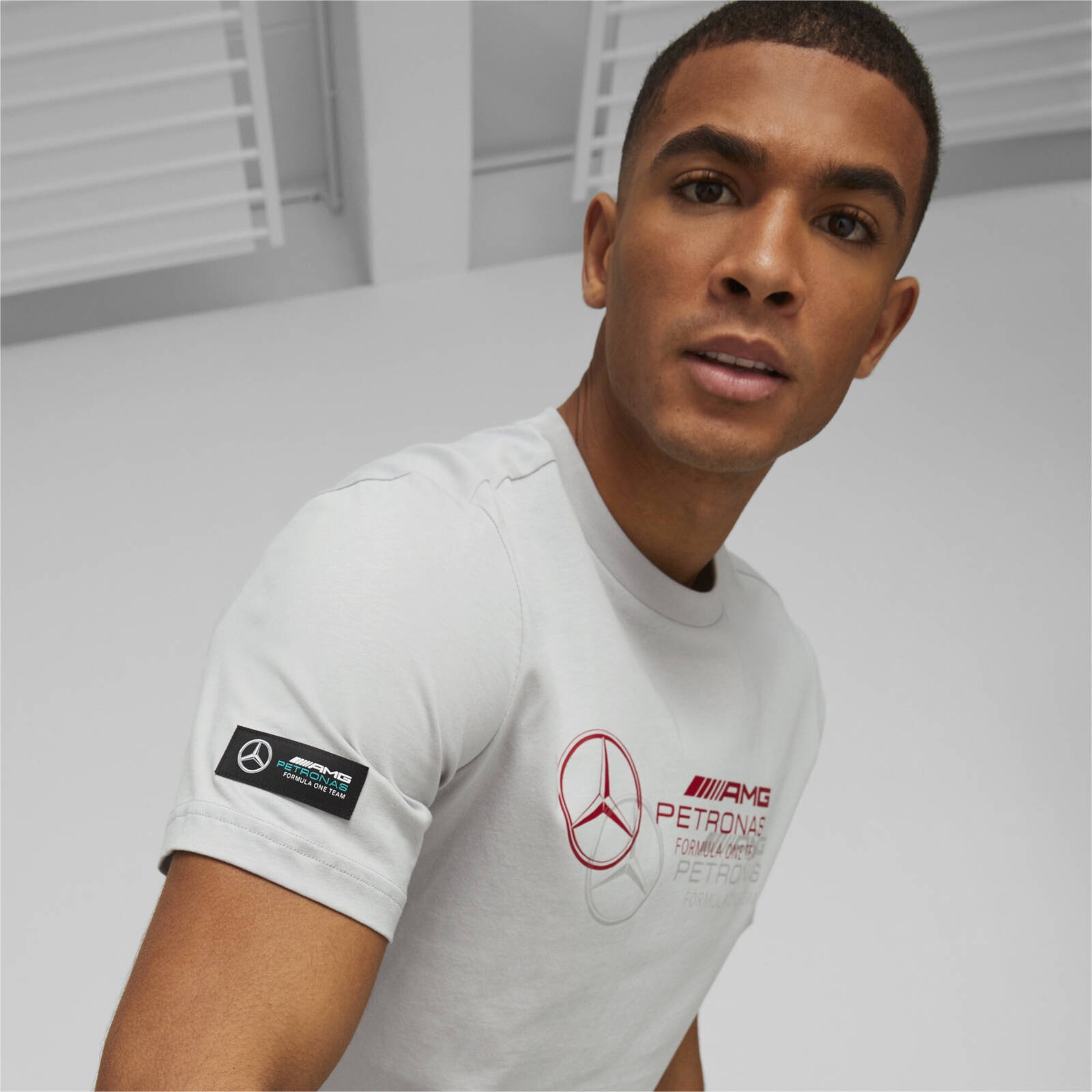 Koszulka mska Puma MAPF1 LOGO szara 53848202