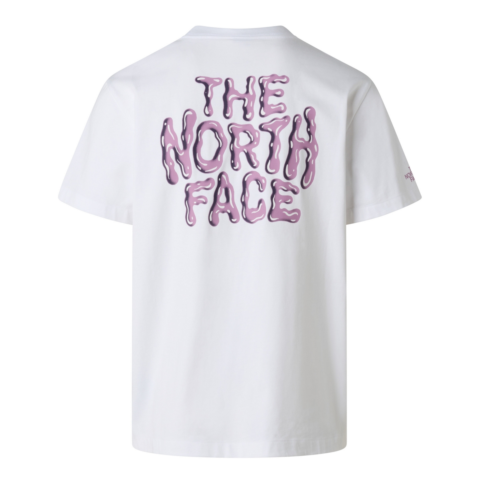 Koszulka m�ska The North Face DRIP LOGO RELAXED bia�a NF0A8GABFN4