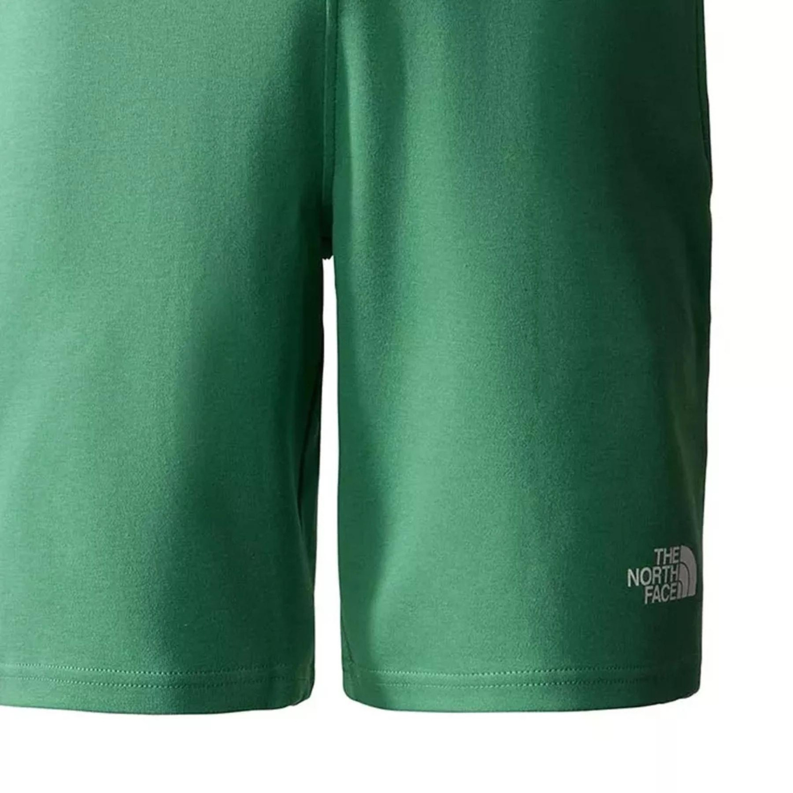 Spodenki m�skie The North Face GRAPHIC LIGHT zielone NF0A3S4FN11