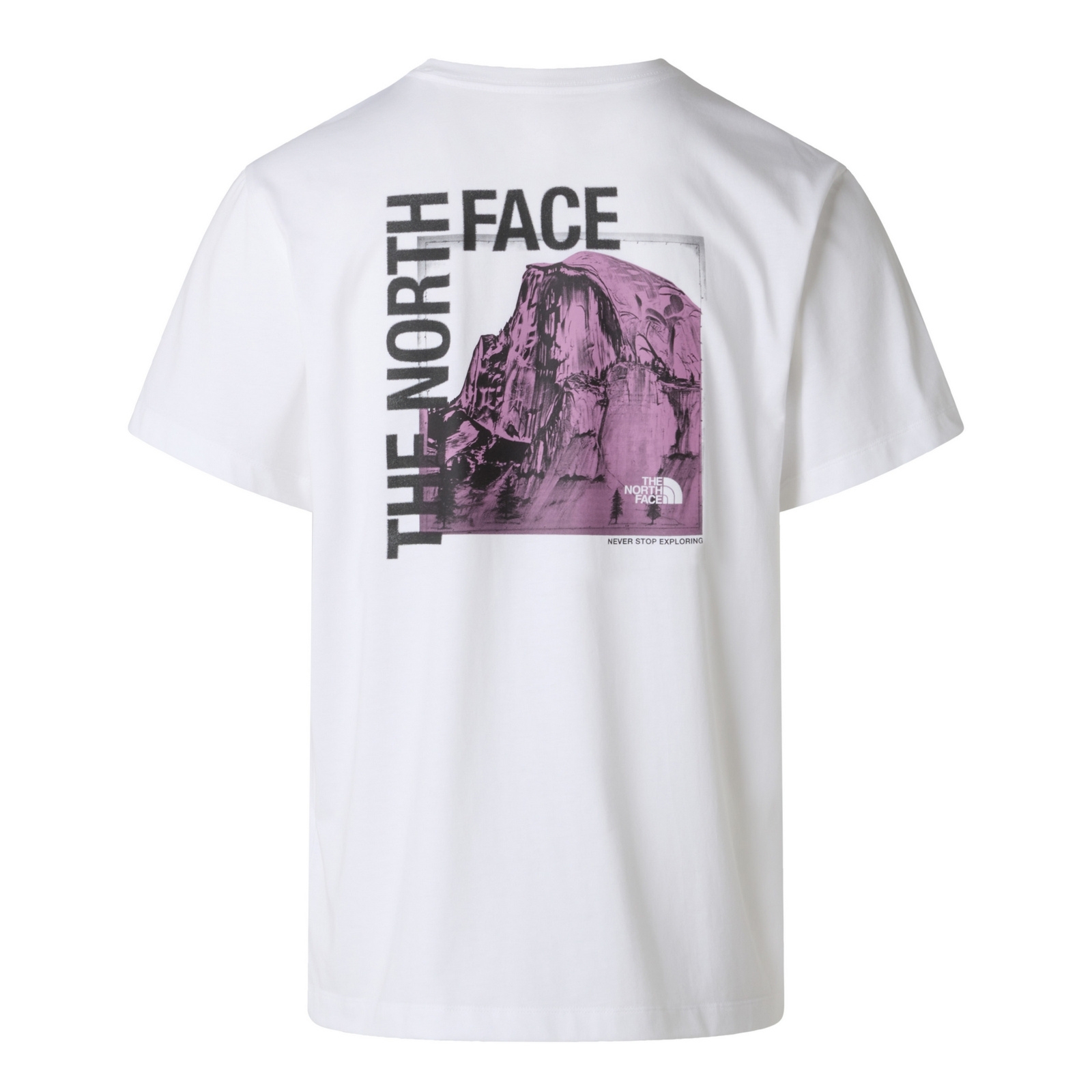 Koszulka m�ska The North Face HALF DOME PHOTO REG bia�a NF0A8GV0FN4