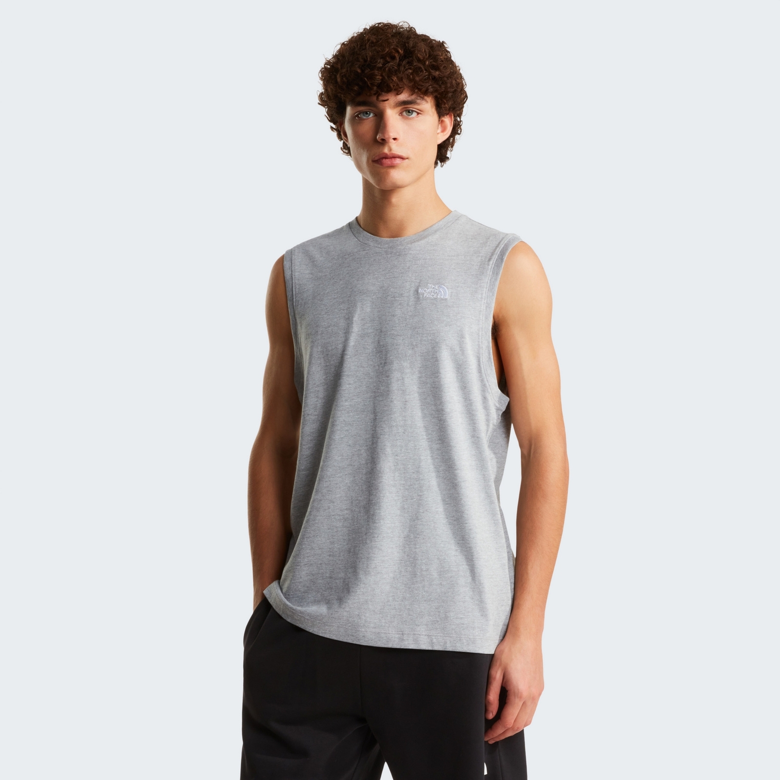 Tank top męski The North Face EVOLUTION SIMPLE DOME szary NF0A8FD4CQO
